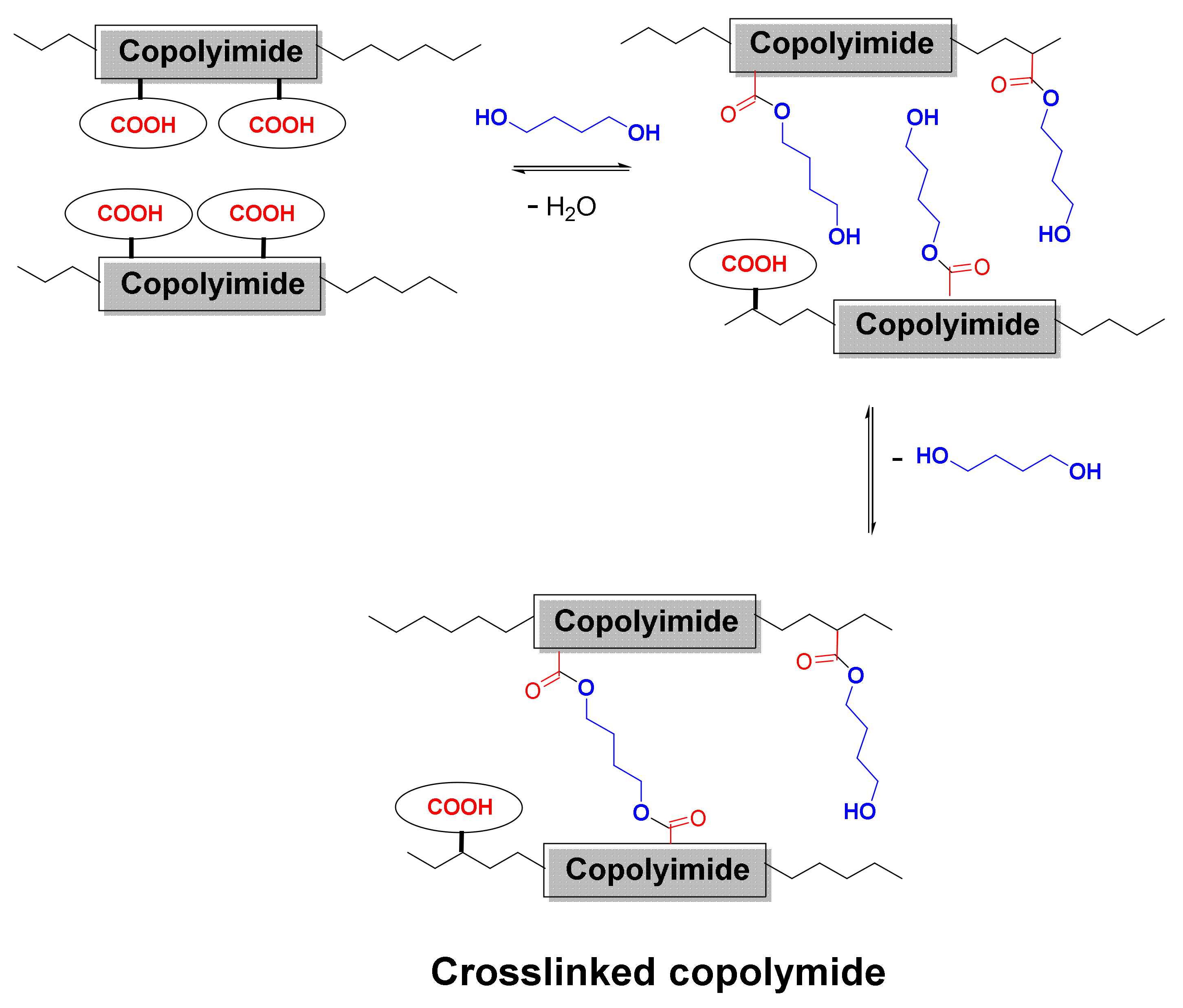 Polymers 14 05517 g004 Polymers 14 05517 g004