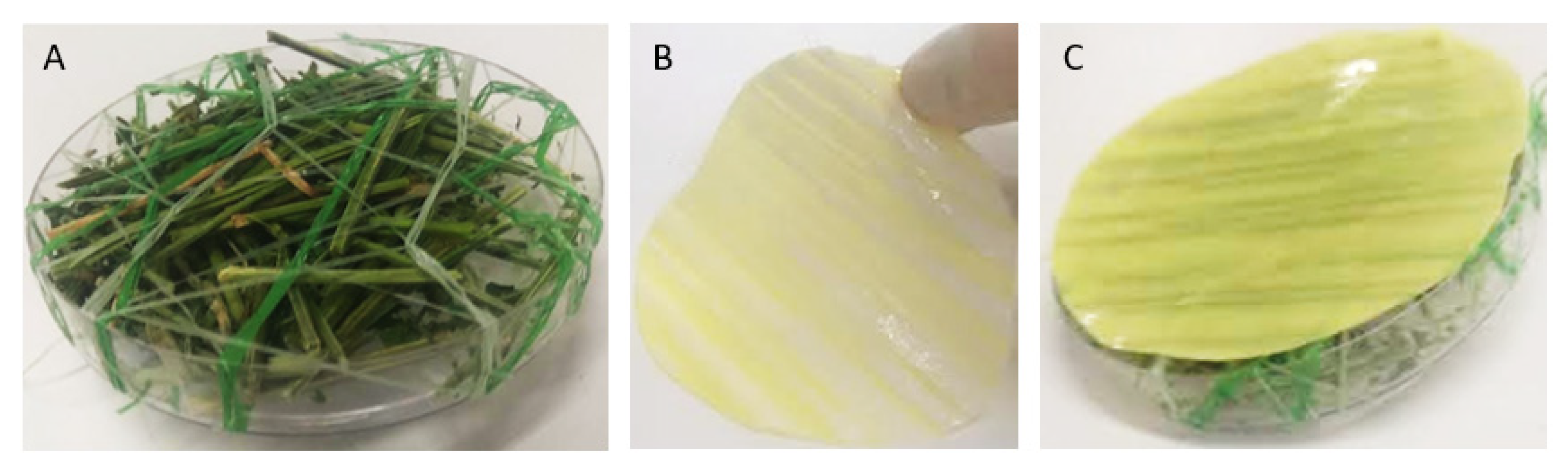 Polymers 14 05518 g002