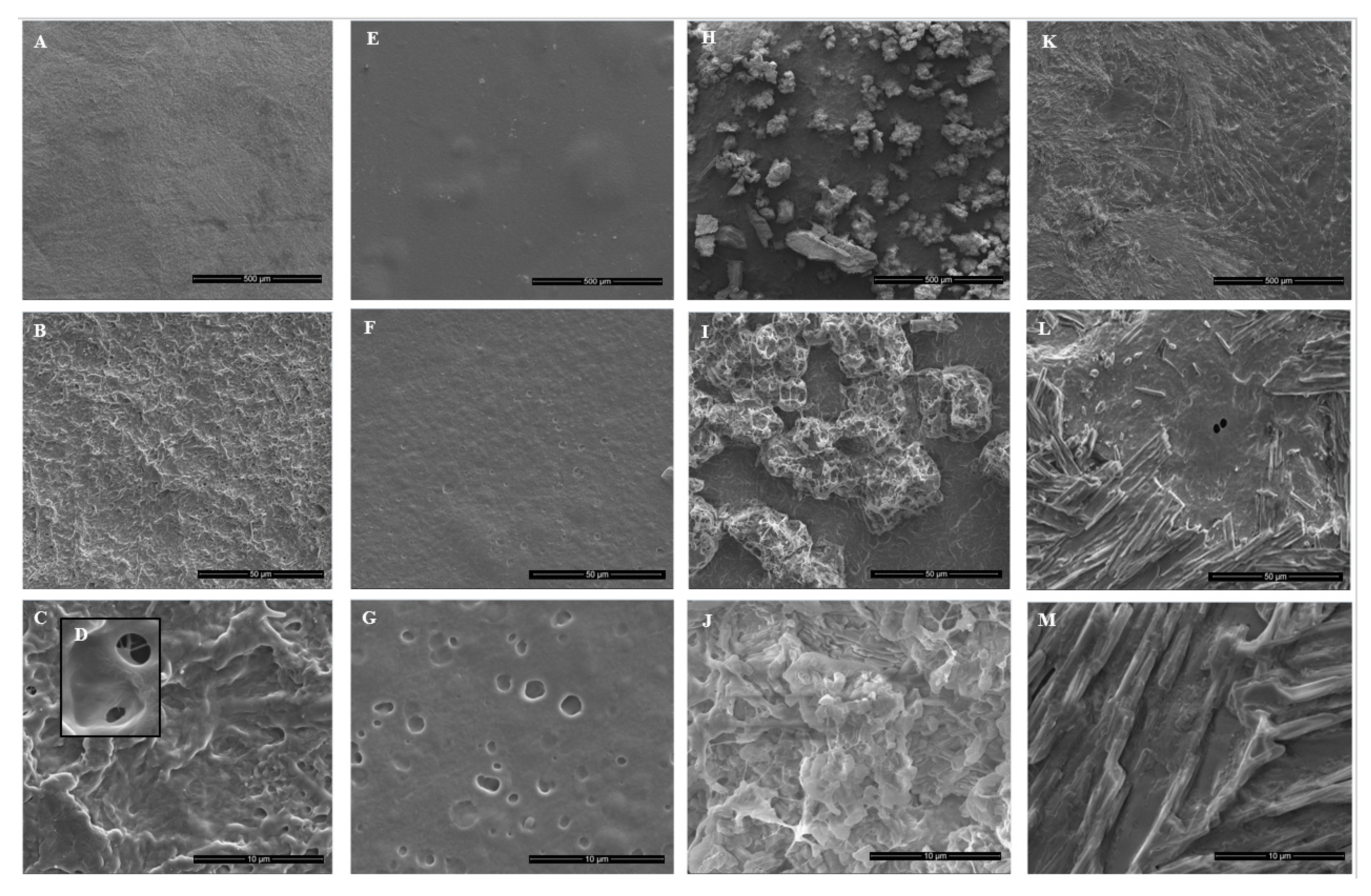 Polymers 14 05518 g006