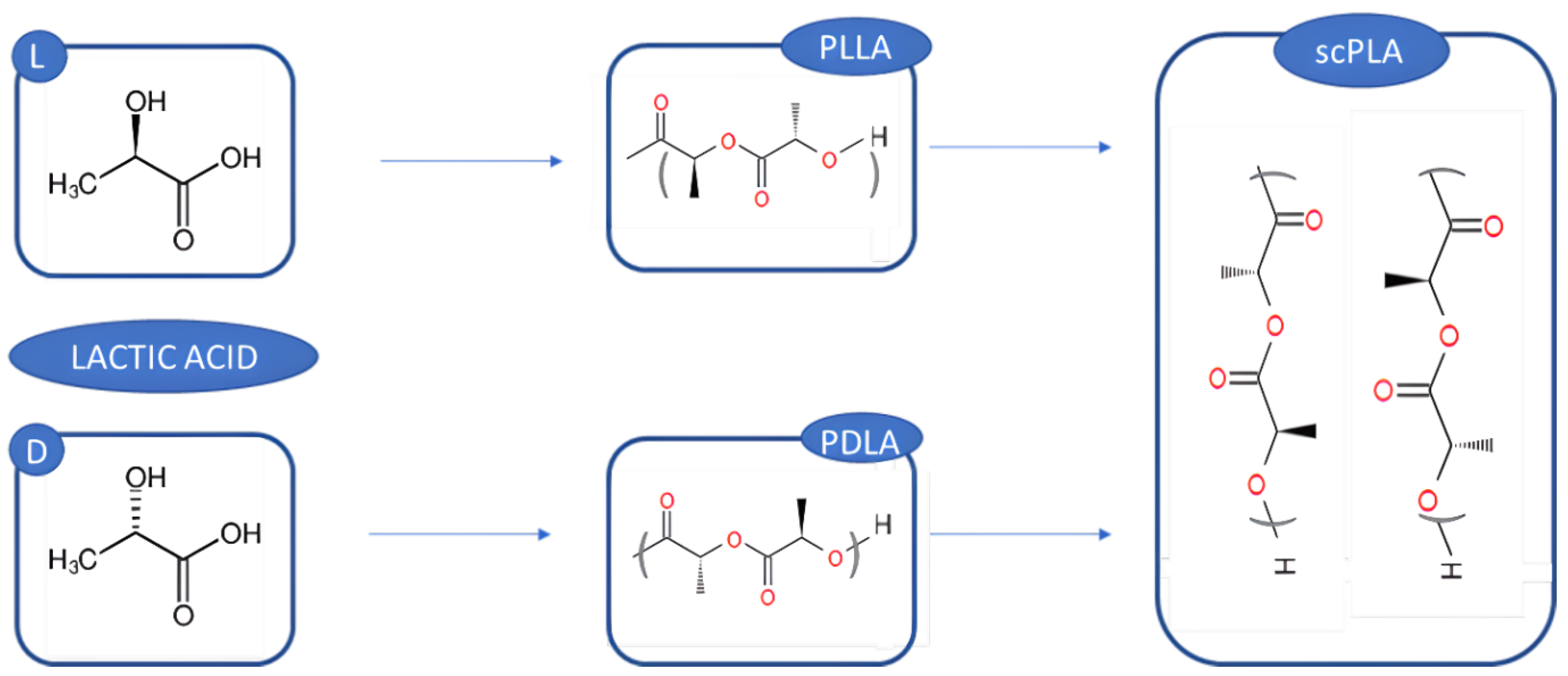 Polymers 14 05519 g006 Polymers 14 05519 g006