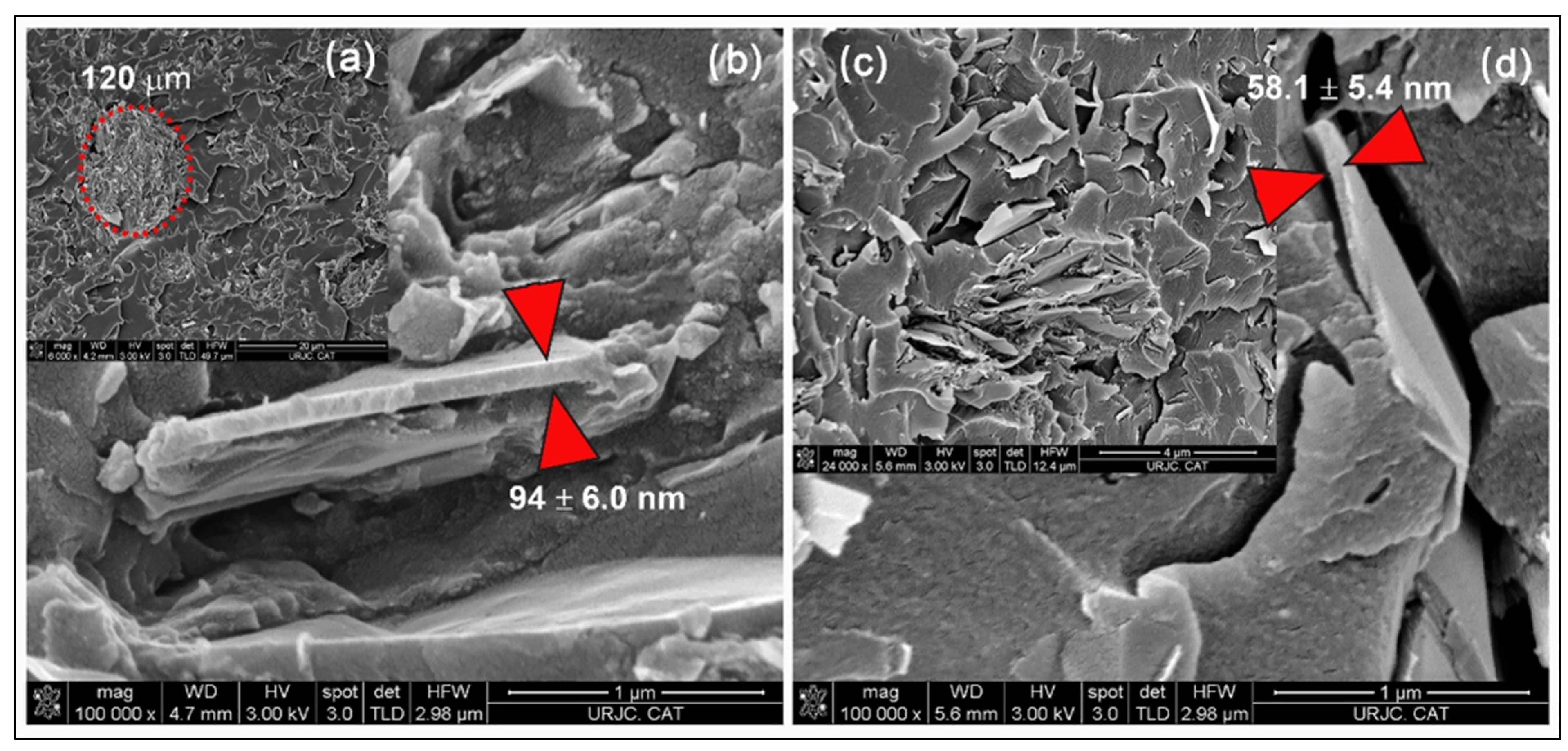 Polymers 14 05520 g006