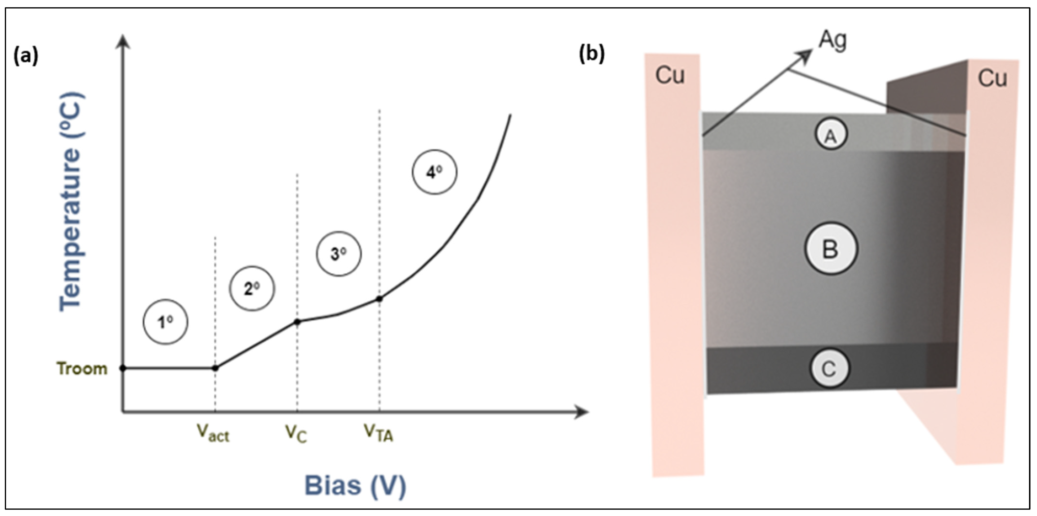 Polymers 14 05520 g011