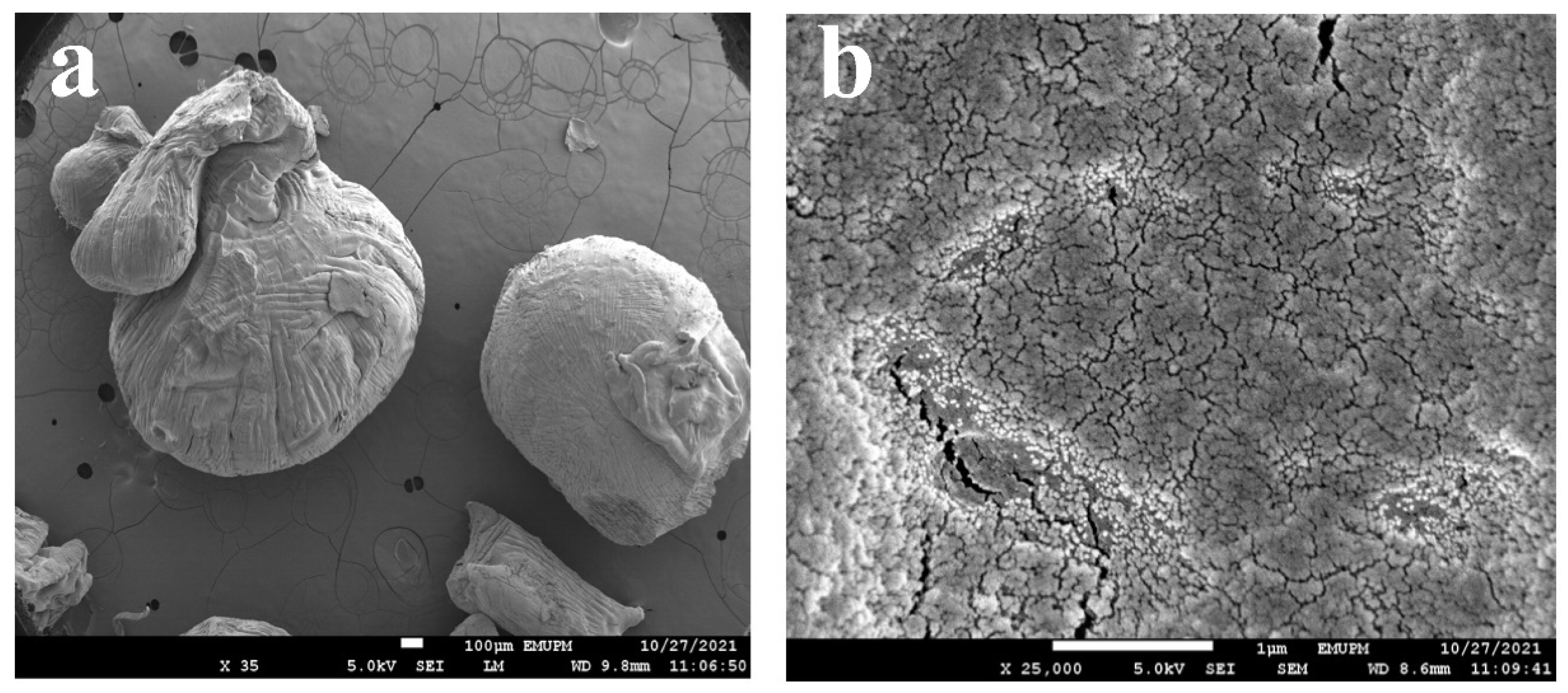 Polymers 14 05524 g003
