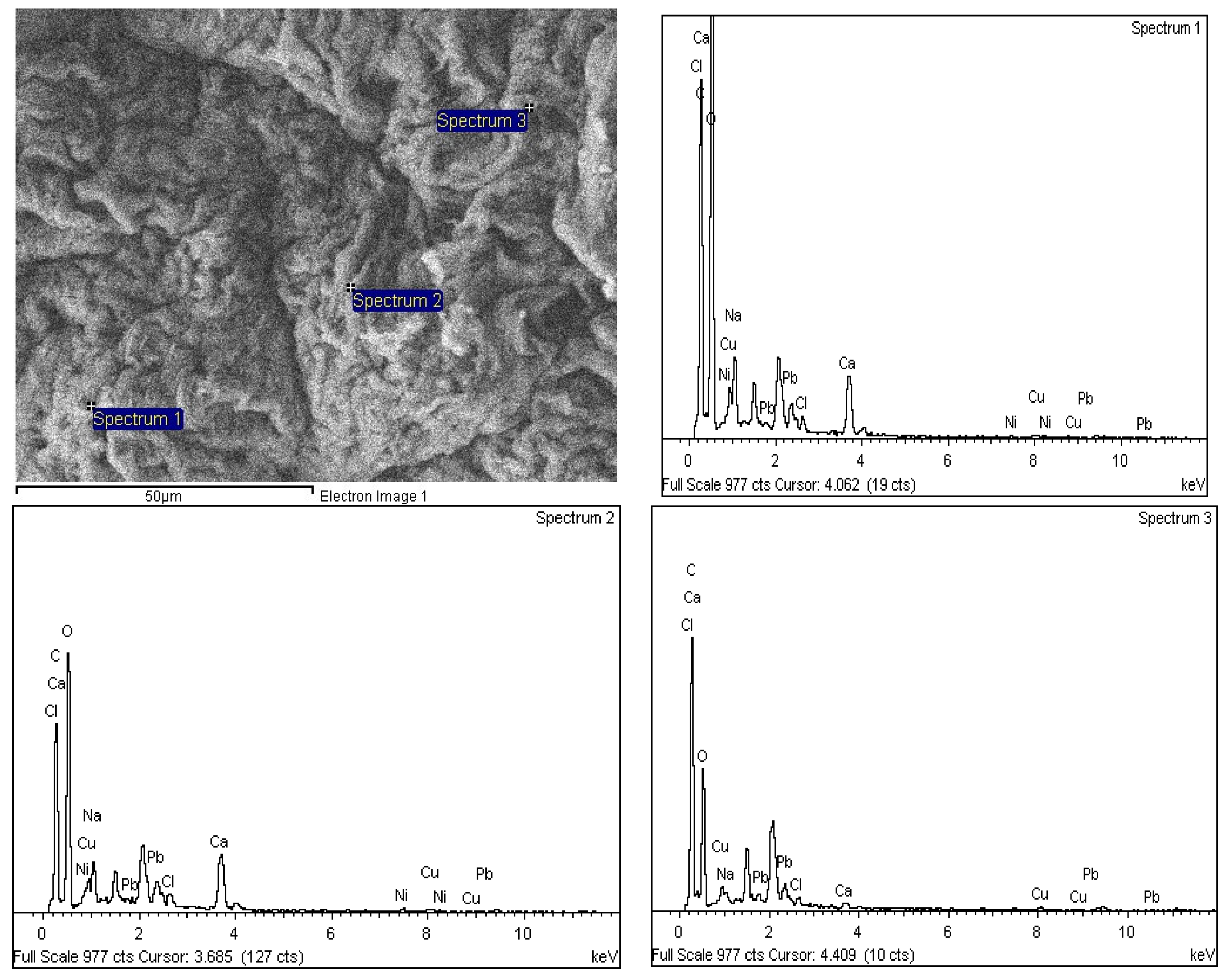 Polymers 14 05524 g016