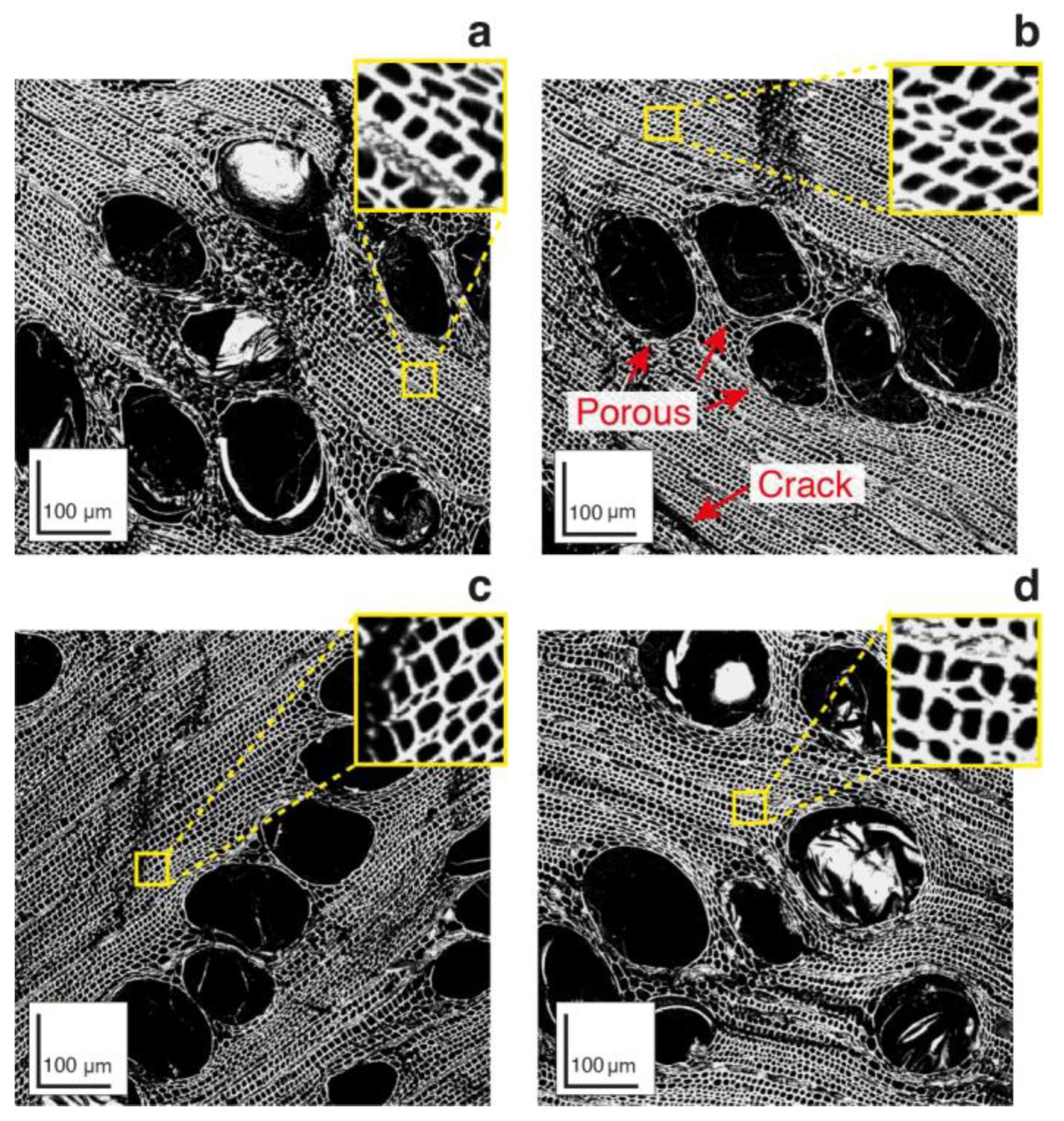 Polymers 14 05525 g003 Polymers 14 05525 g003