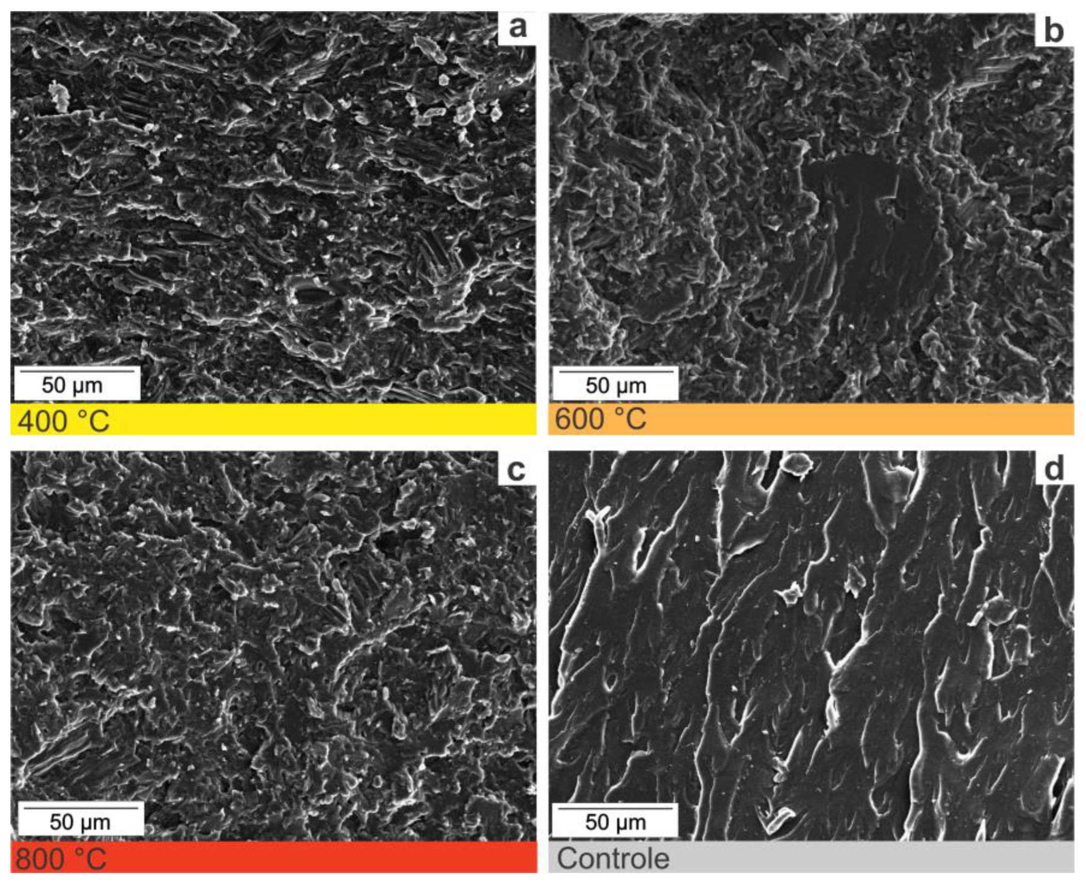 Polymers 14 05525 g009 Polymers 14 05525 g009