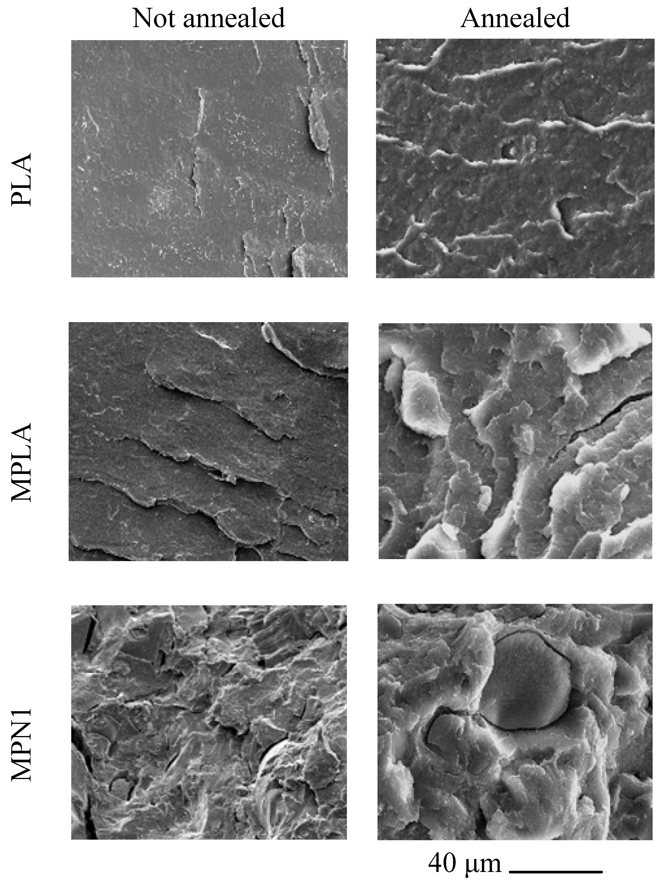 Polymers 14 05532 g004 Polymers 14 05532 g004