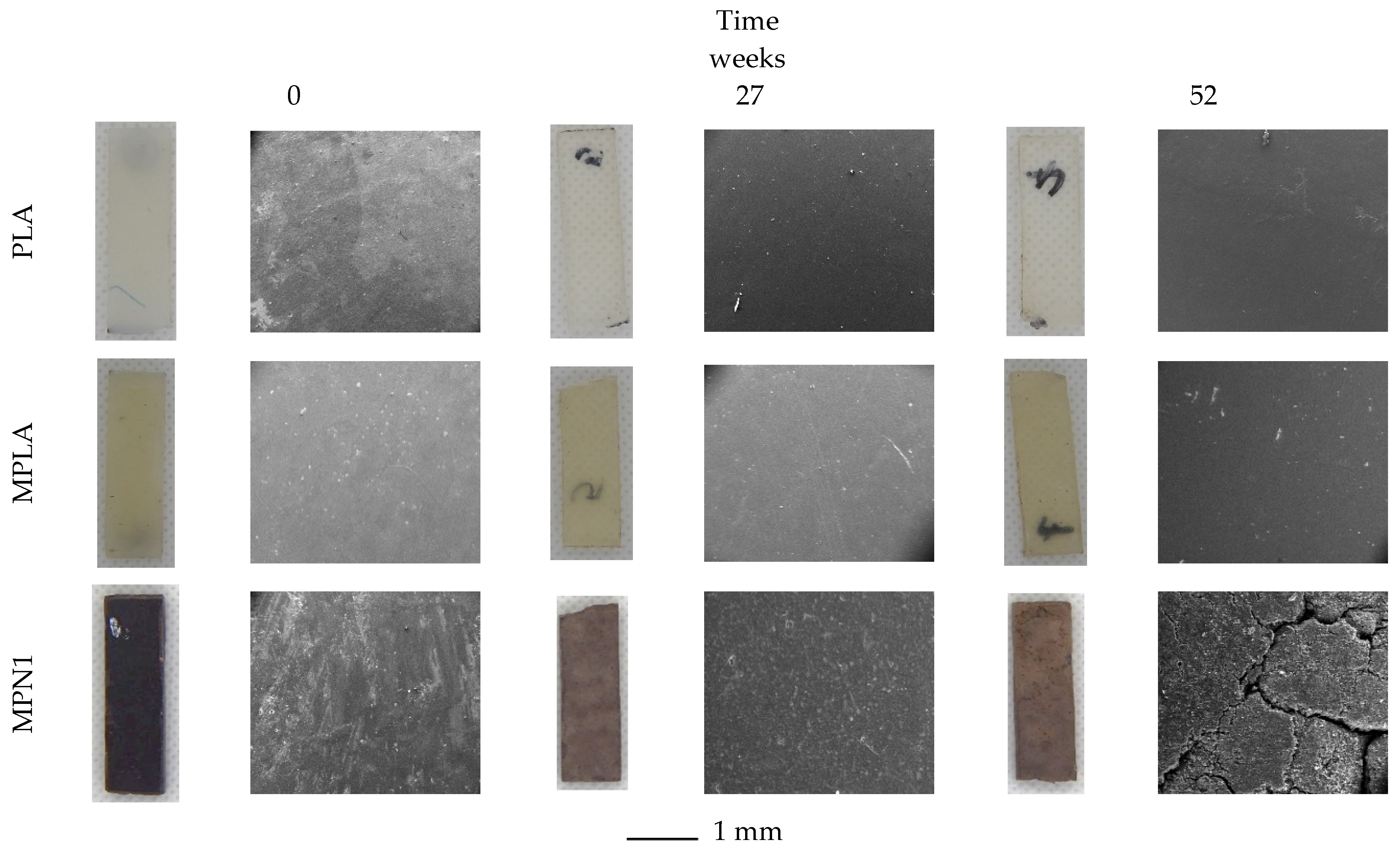 Polymers 14 05532 g005 Polymers 14 05532 g005
