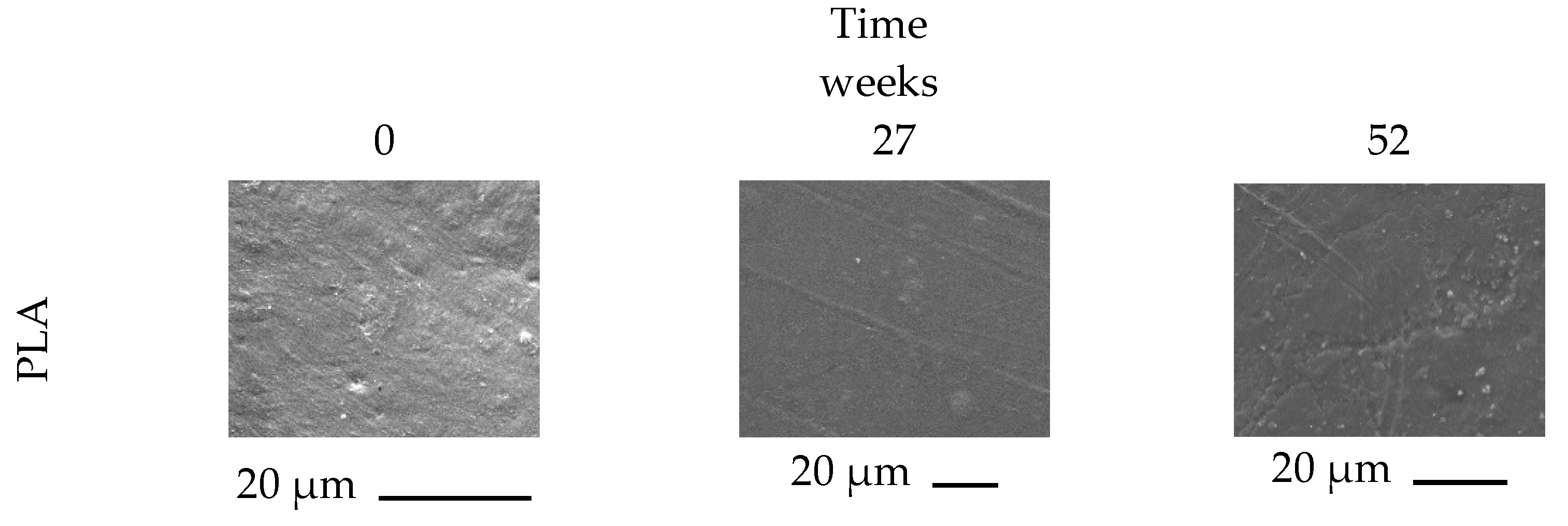 Polymers 14 05532 g006a Polymers 14 05532 g006a