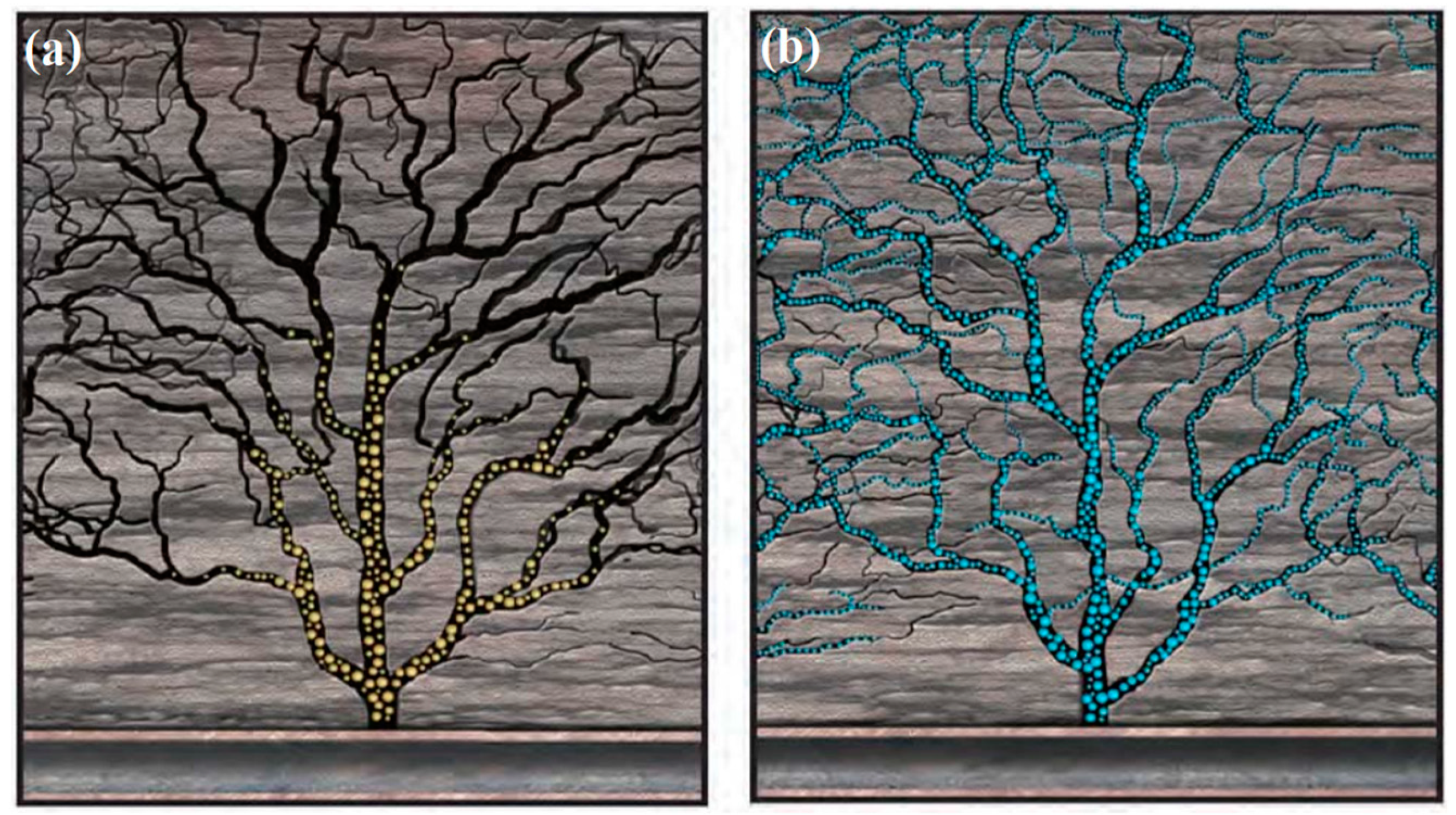 Polymers 14 05534 g002