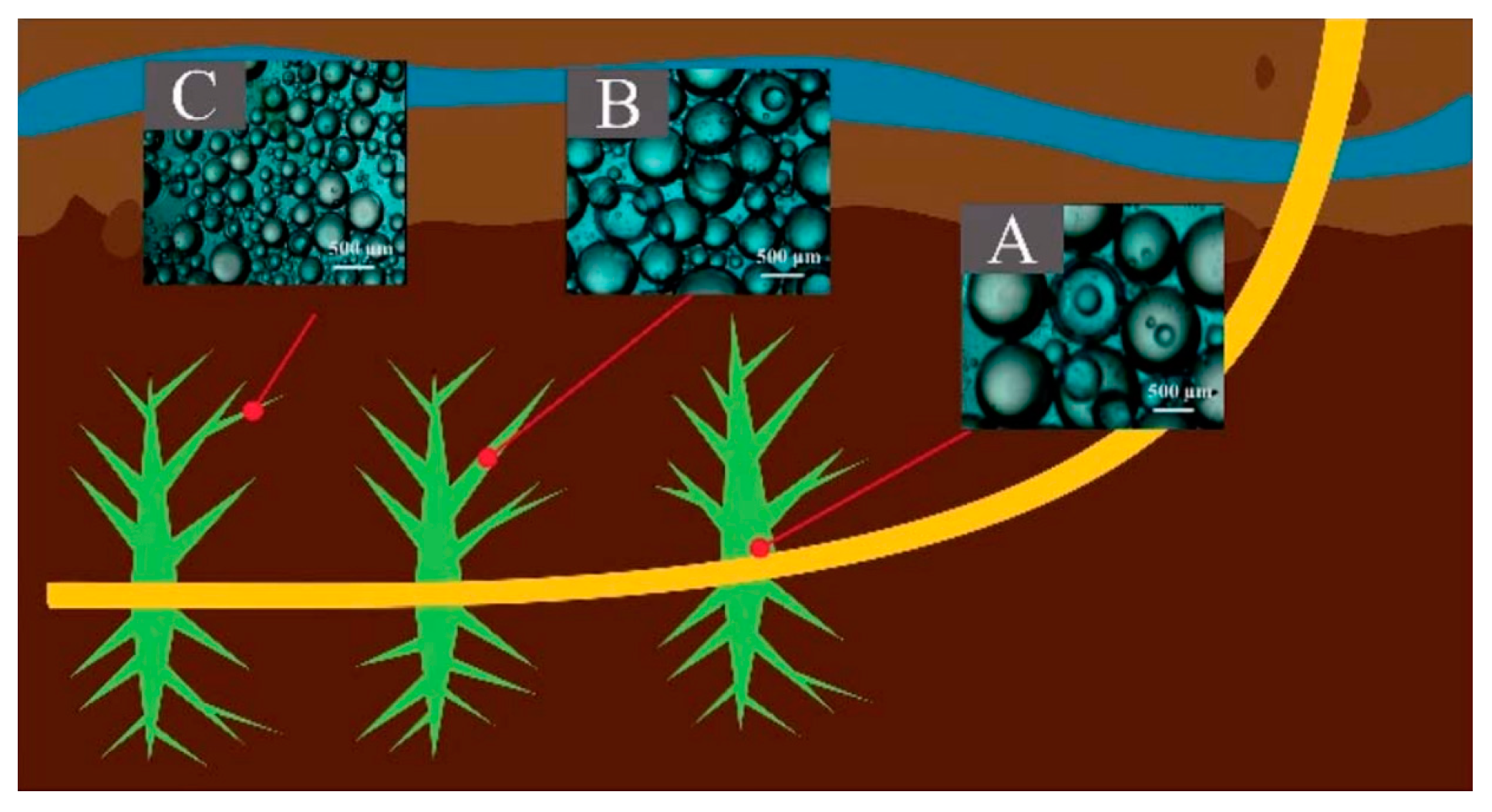Polymers 14 05534 g008
