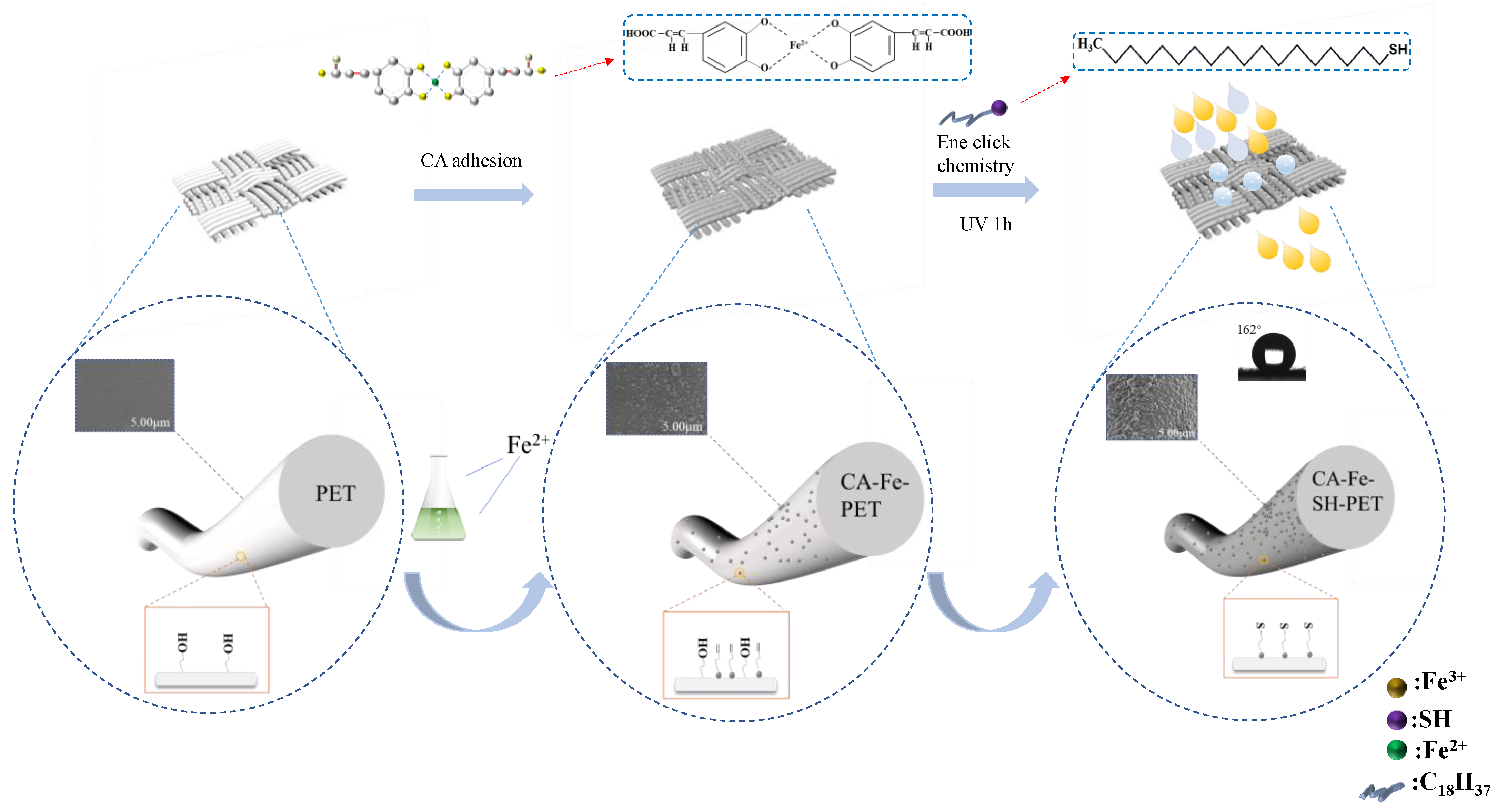 Polymers 14 05536 g002