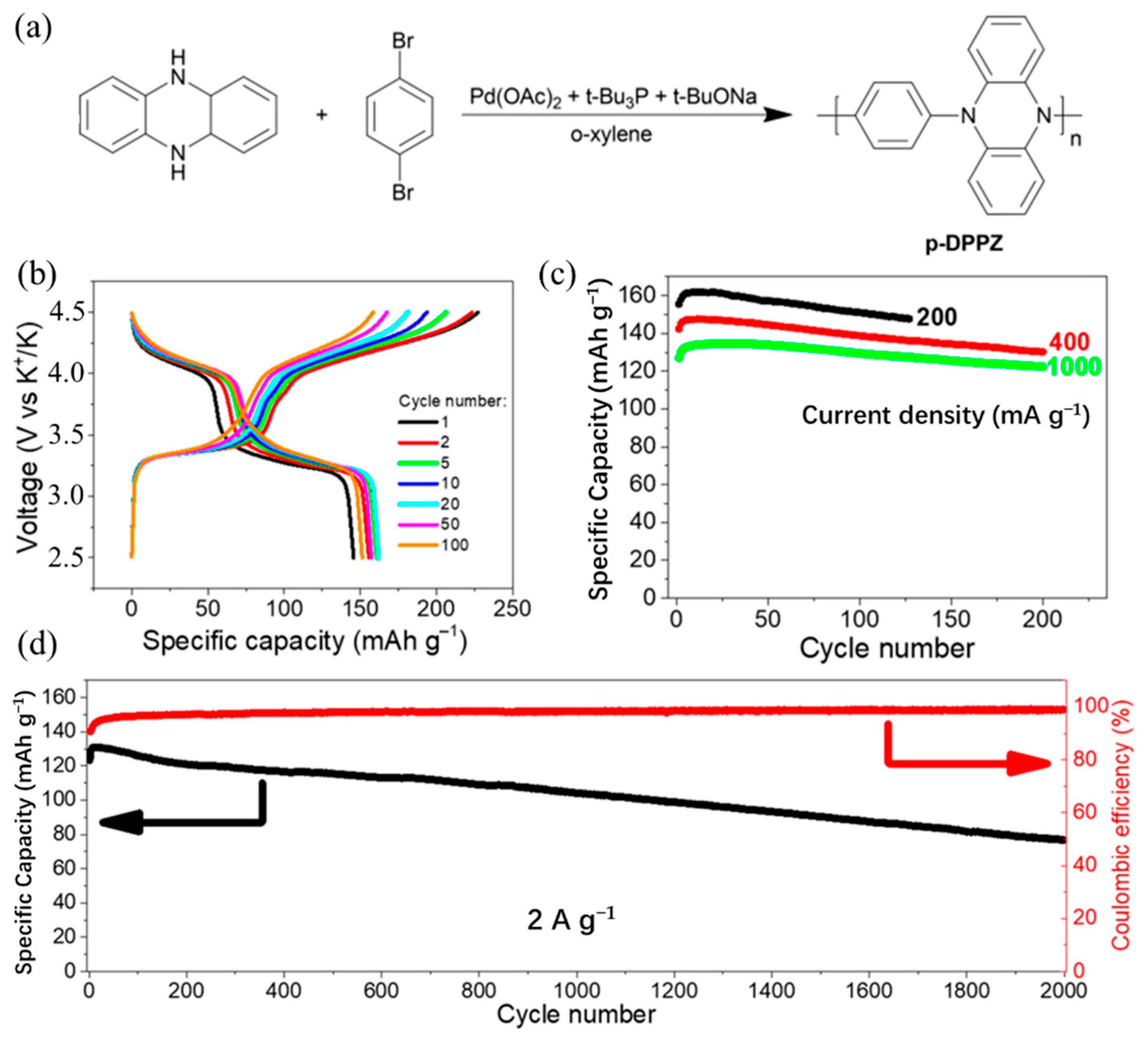 Polymers 14 05538 g005 Polymers 14 05538 g005