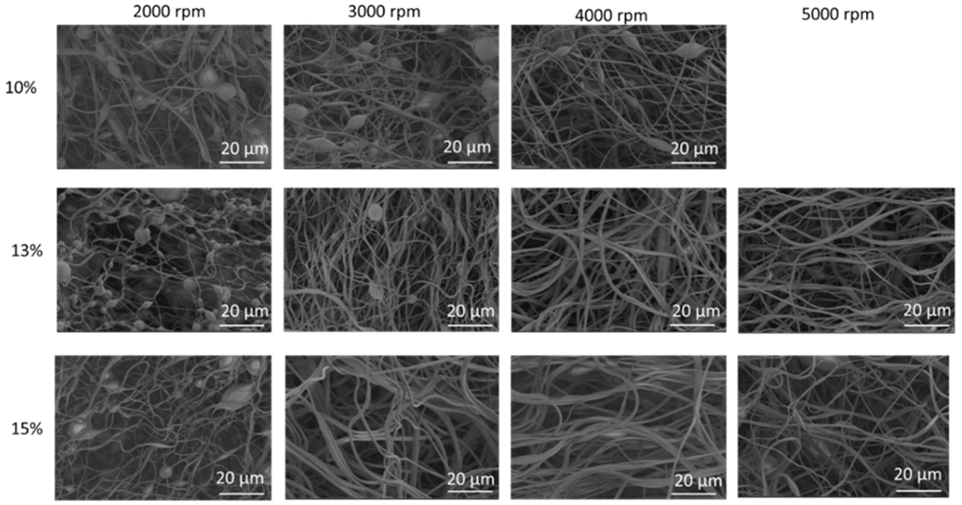 Polymers 14 05541 g002 Polymers 14 05541 g002