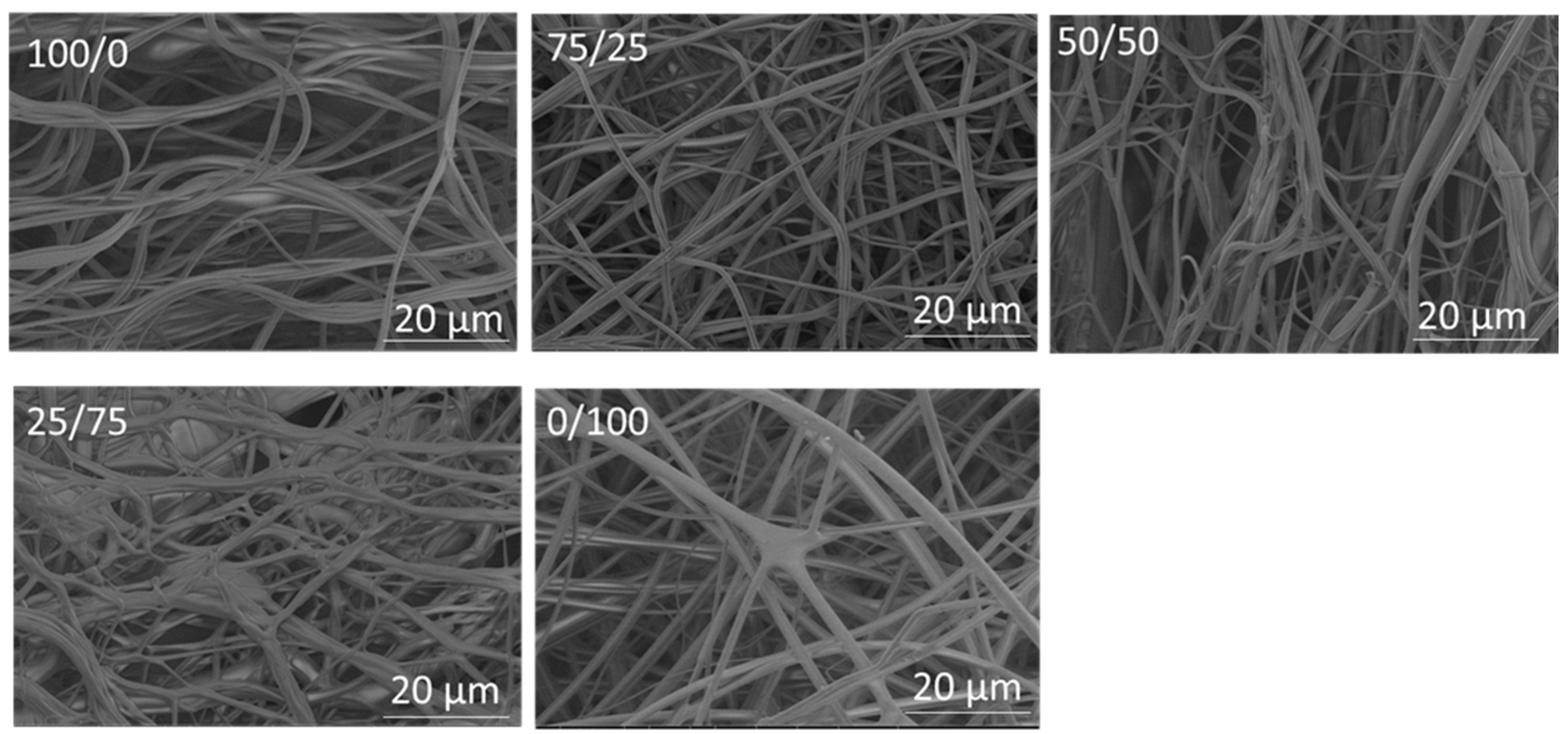 Polymers 14 05541 g003 Polymers 14 05541 g003