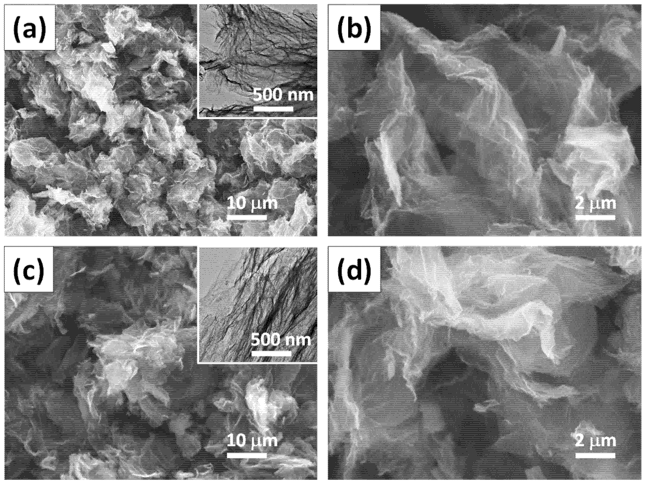 Polymers 14 05542 g001 Polymers 14 05542 g001
