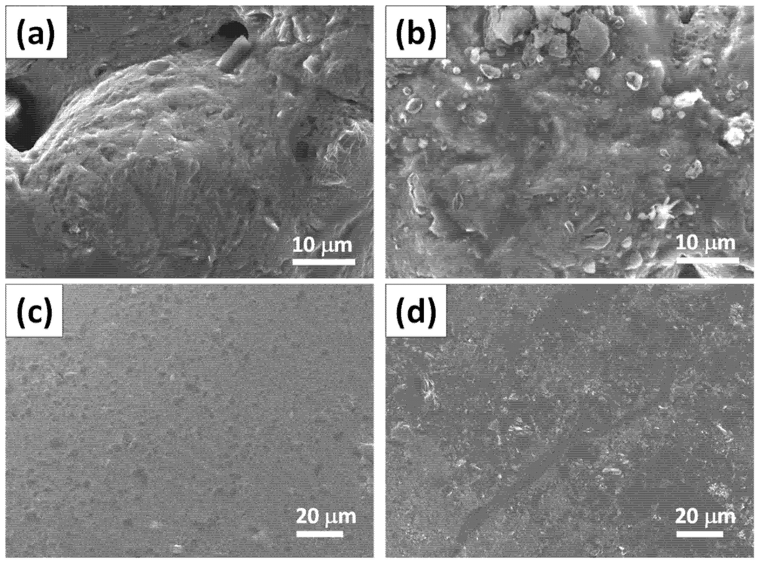 Polymers 14 05542 g002 Polymers 14 05542 g002