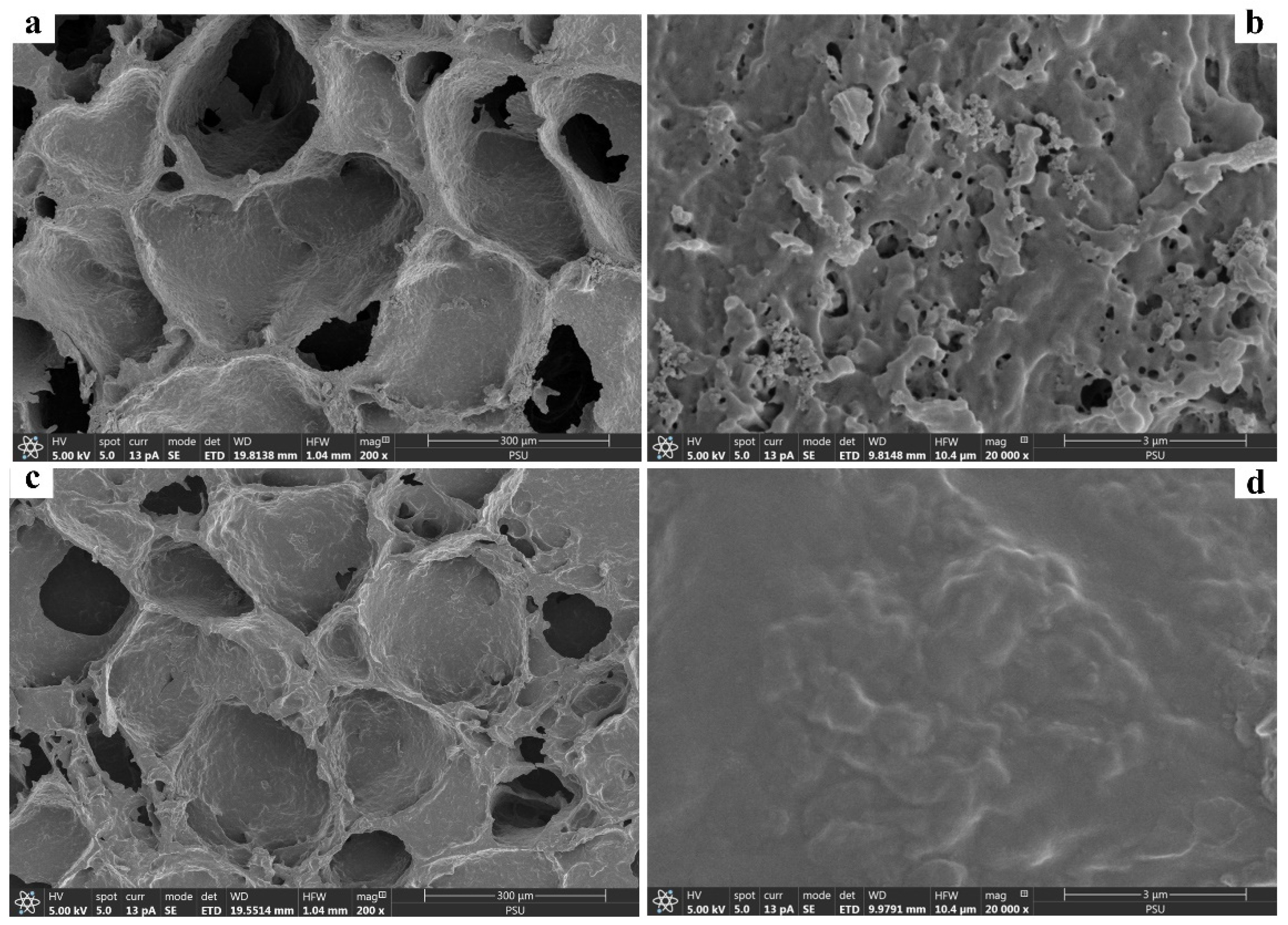 Polymers 14 05543 g001 Polymers 14 05543 g001