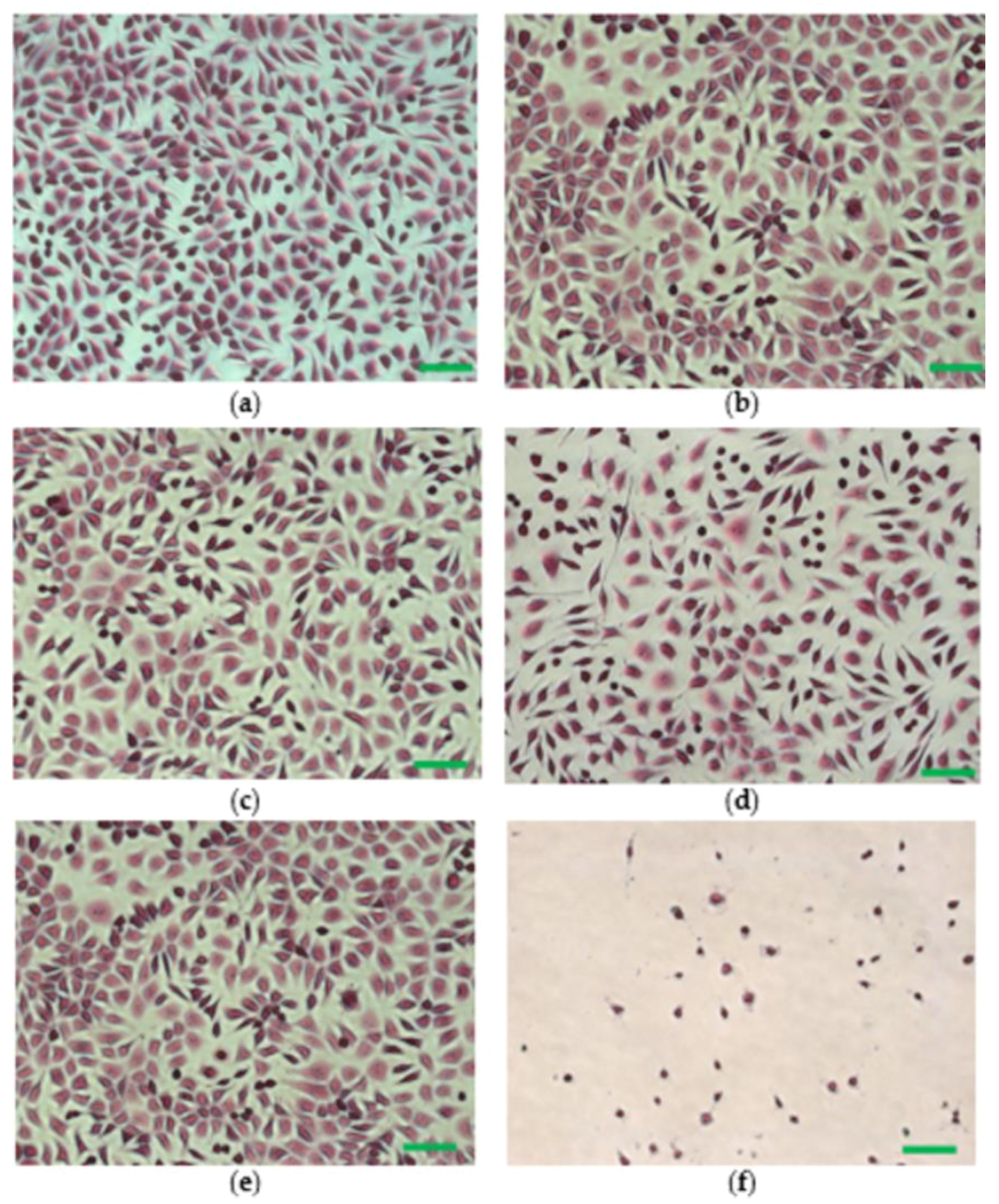 Polymers 14 05544 g006 Polymers 14 05544 g006