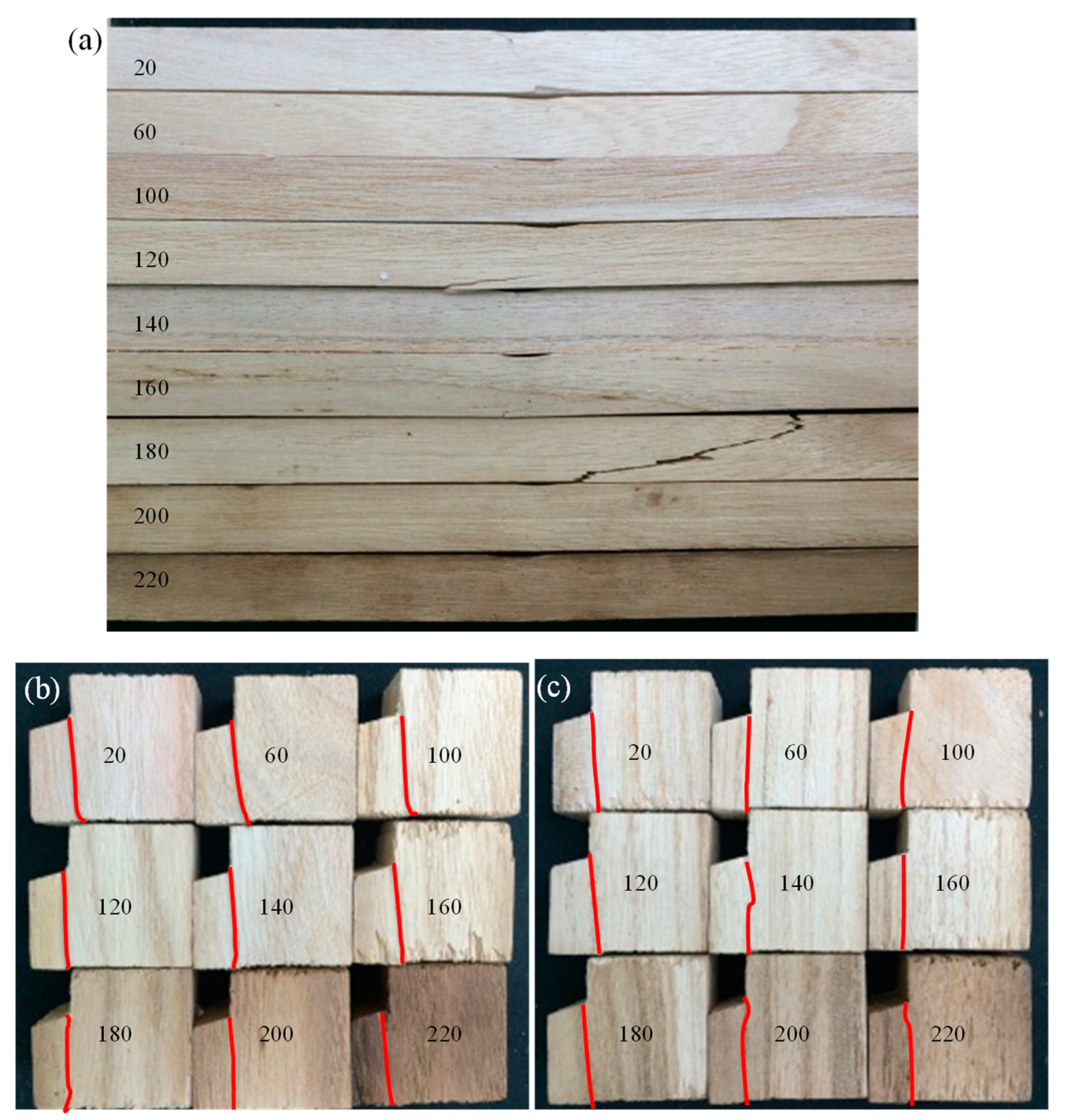 Polymers 14 05545 g003