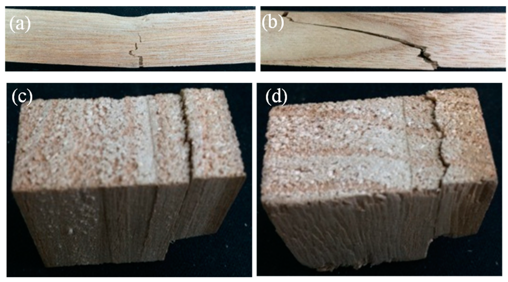 Polymers 14 05545 g004