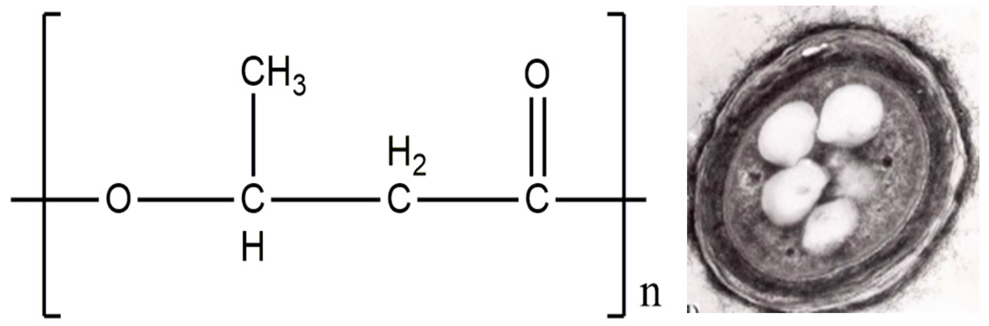 Polymers 14 05549 g003 Polymers 14 05549 g003