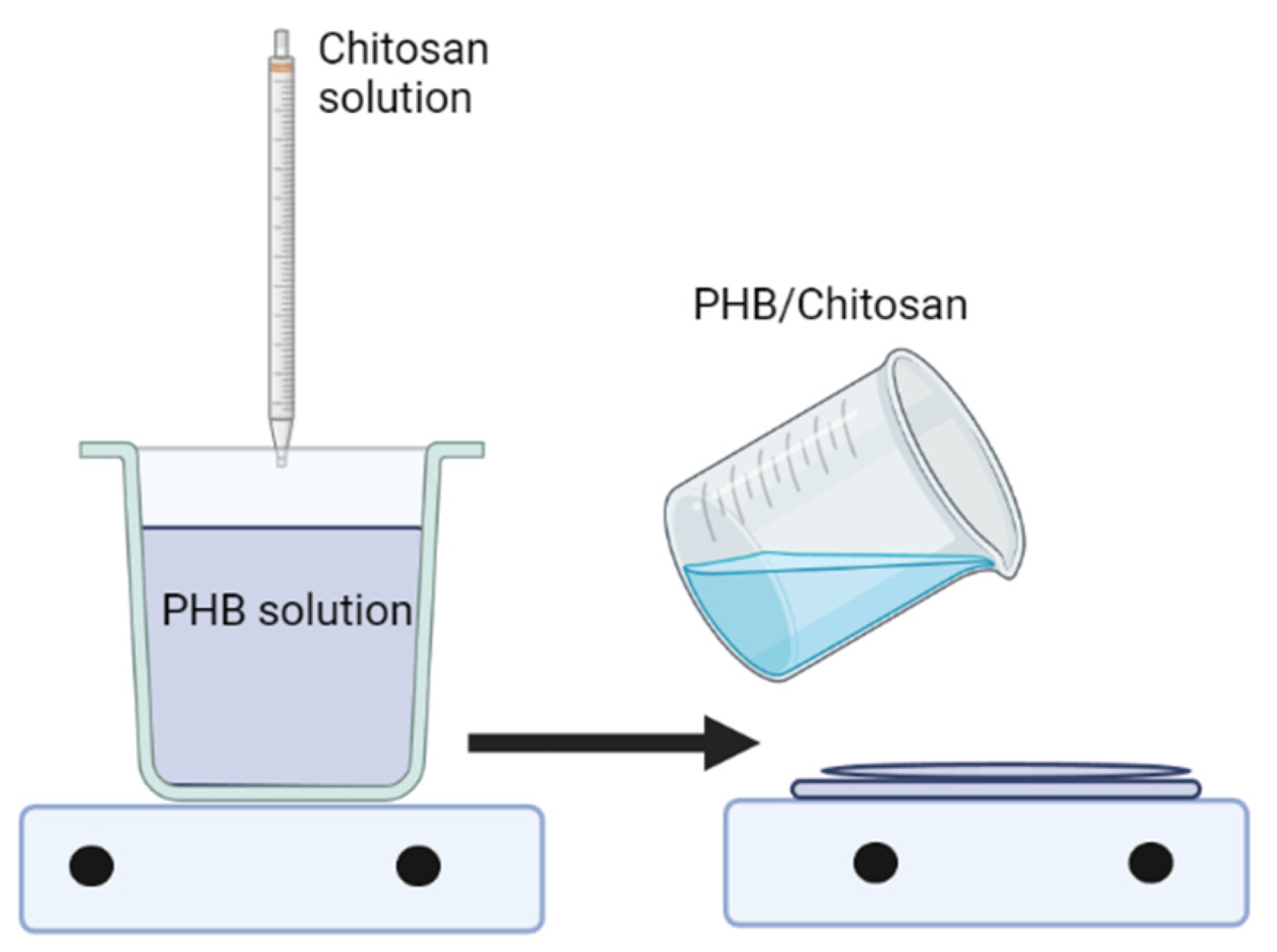 Polymers 14 05549 g007 Polymers 14 05549 g007