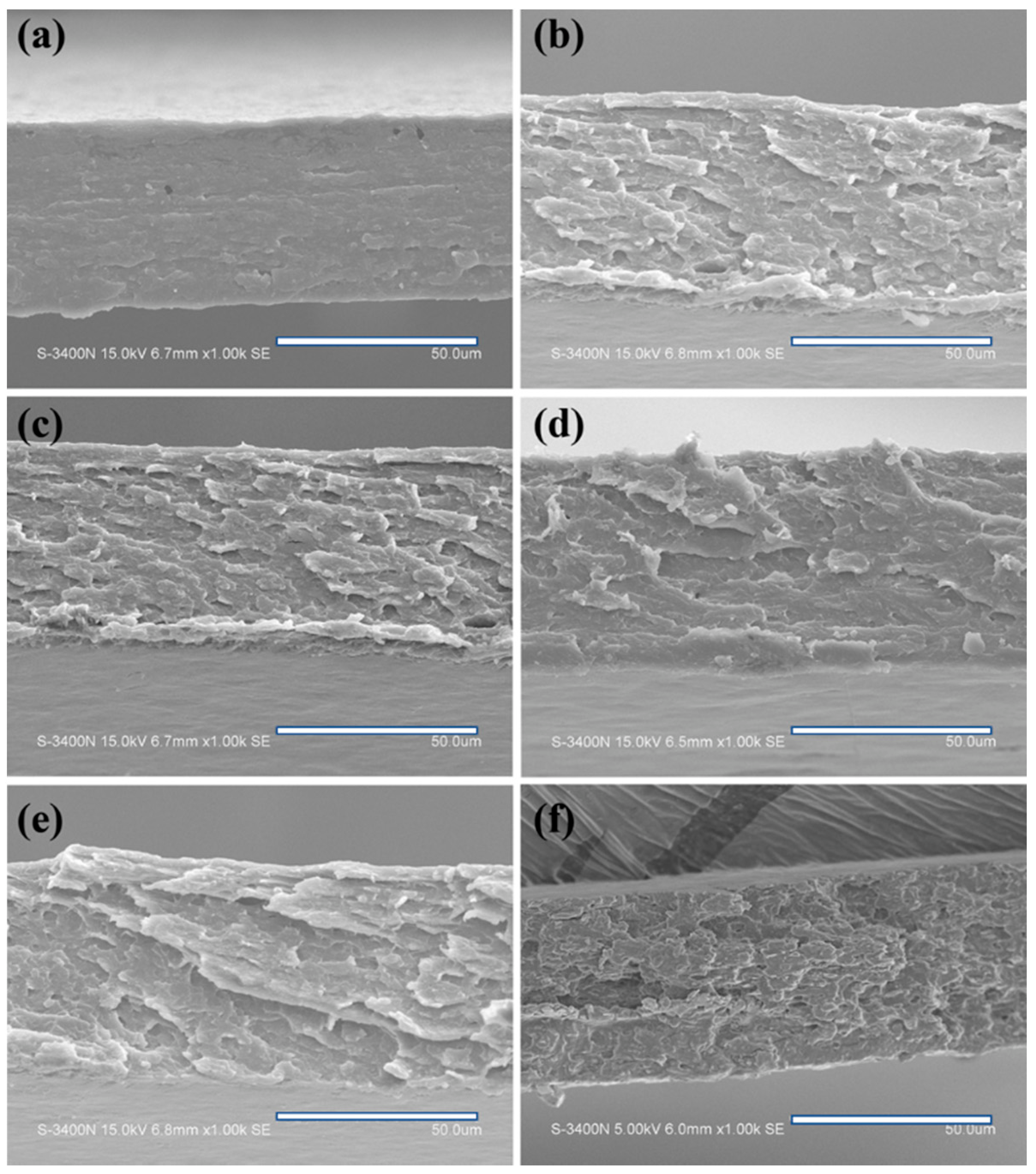 Polymers 14 05550 g006