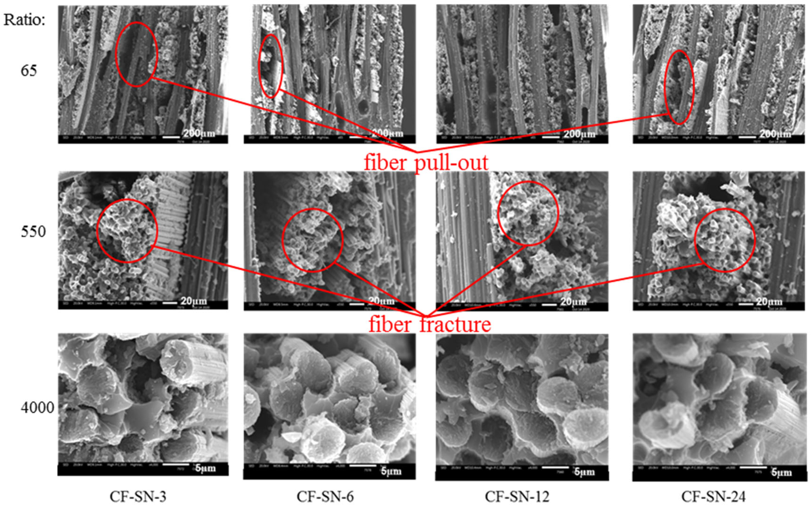 Polymers 14 05552 g013 Polymers 14 05552 g013