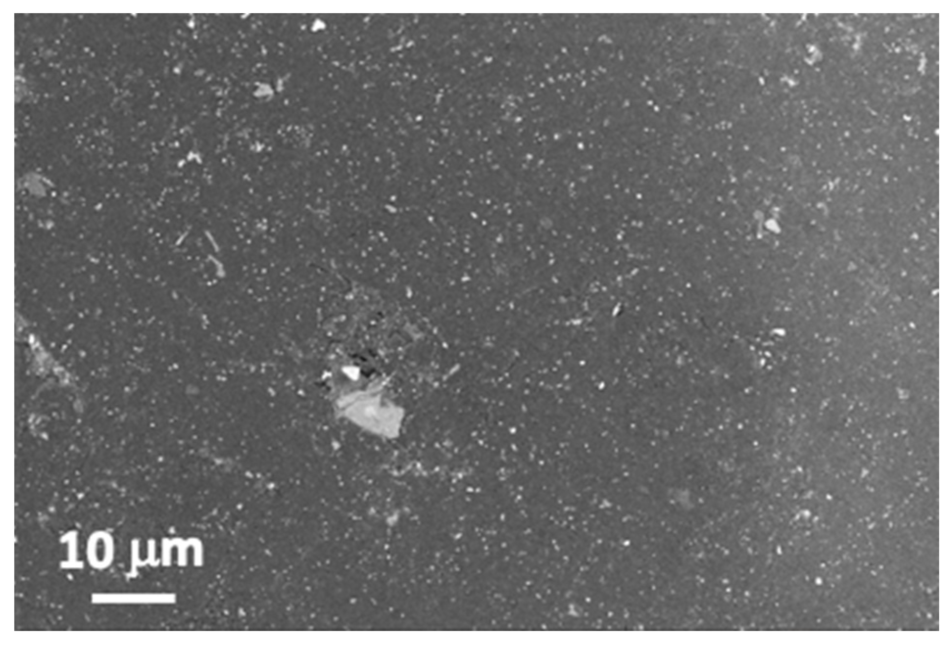 Polymers 14 05554 g001 Polymers 14 05554 g001