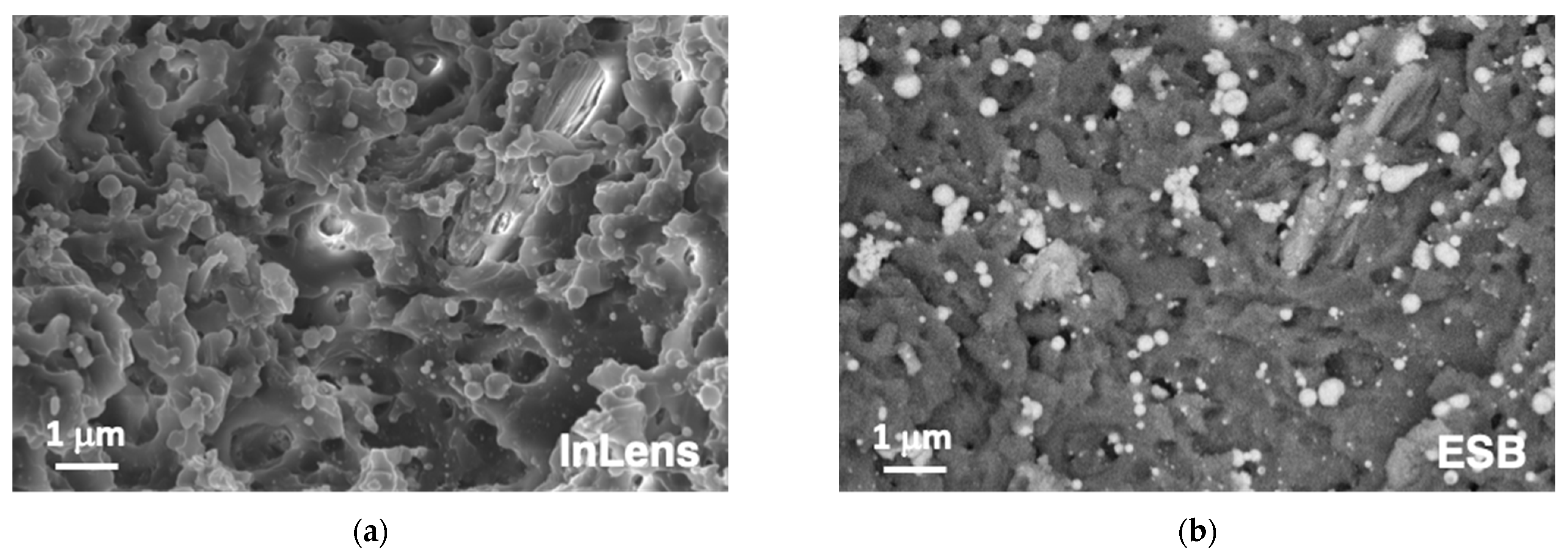 Polymers 14 05554 g004 Polymers 14 05554 g004