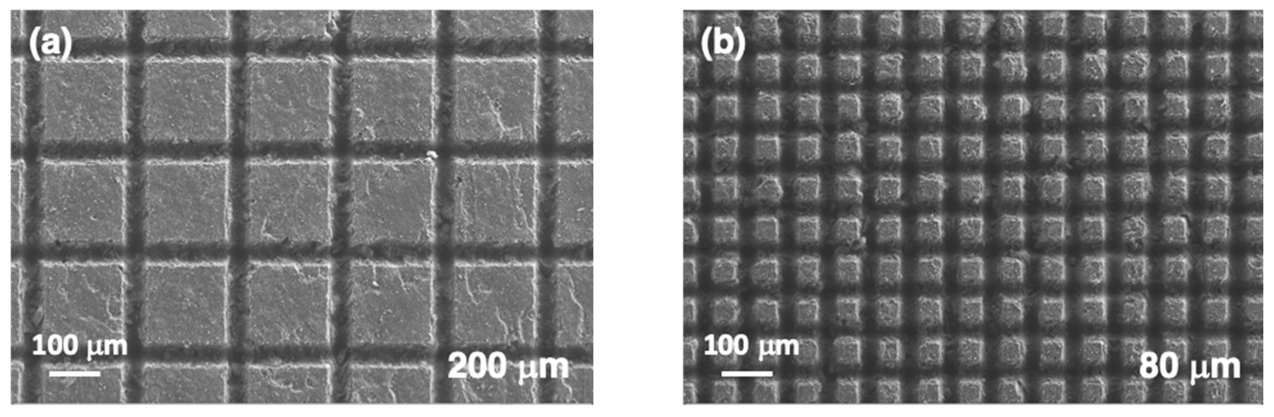 Polymers 14 05554 g009a Polymers 14 05554 g009a