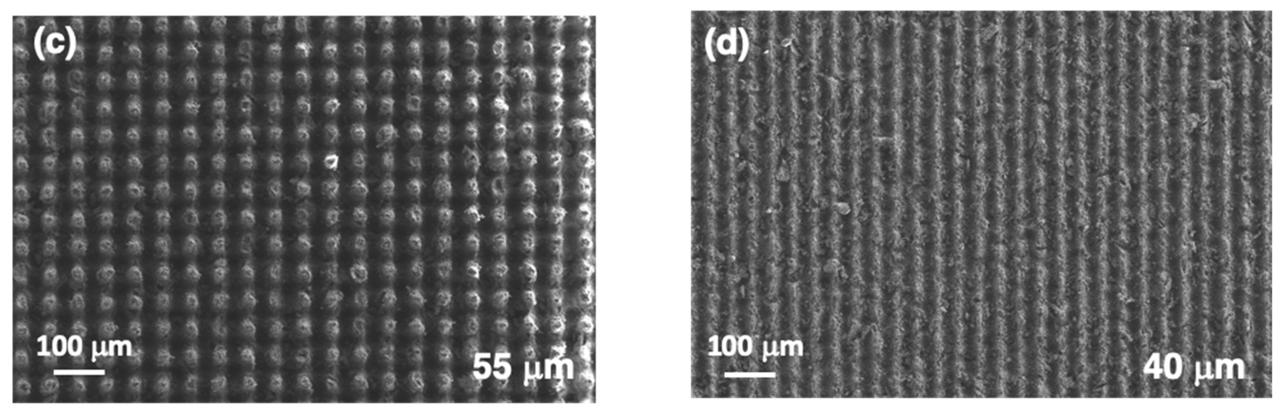 Polymers 14 05554 g009b Polymers 14 05554 g009b