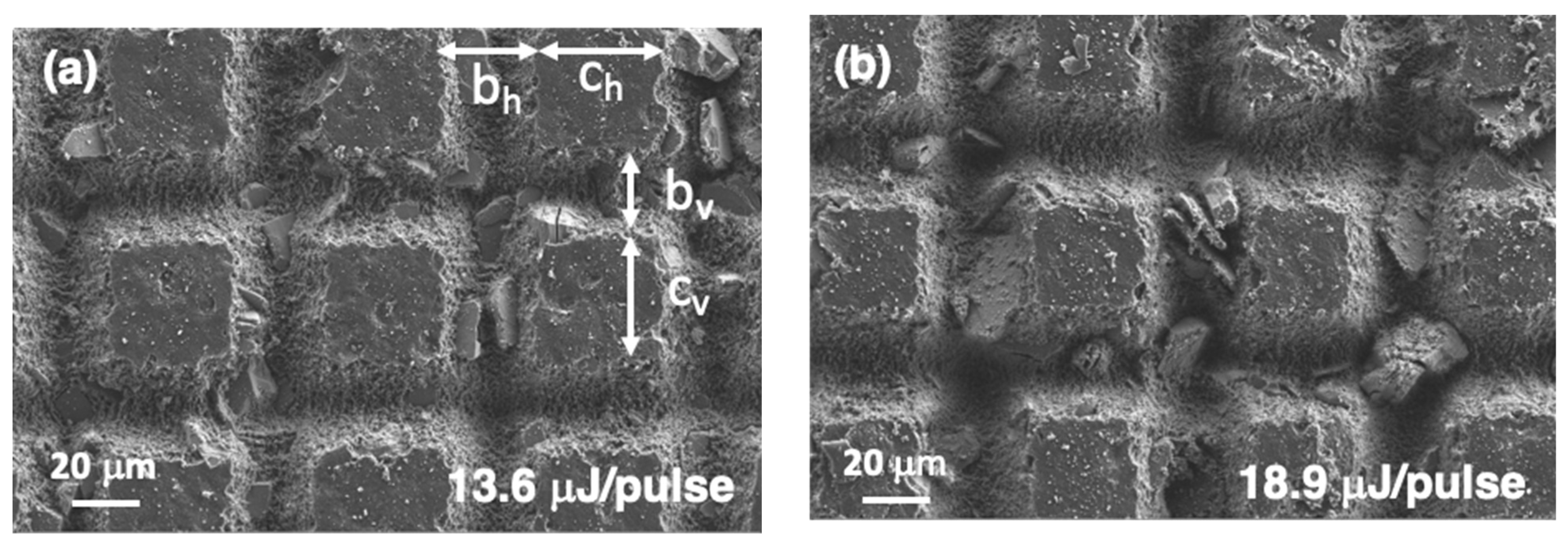 Polymers 14 05554 g011a Polymers 14 05554 g011a