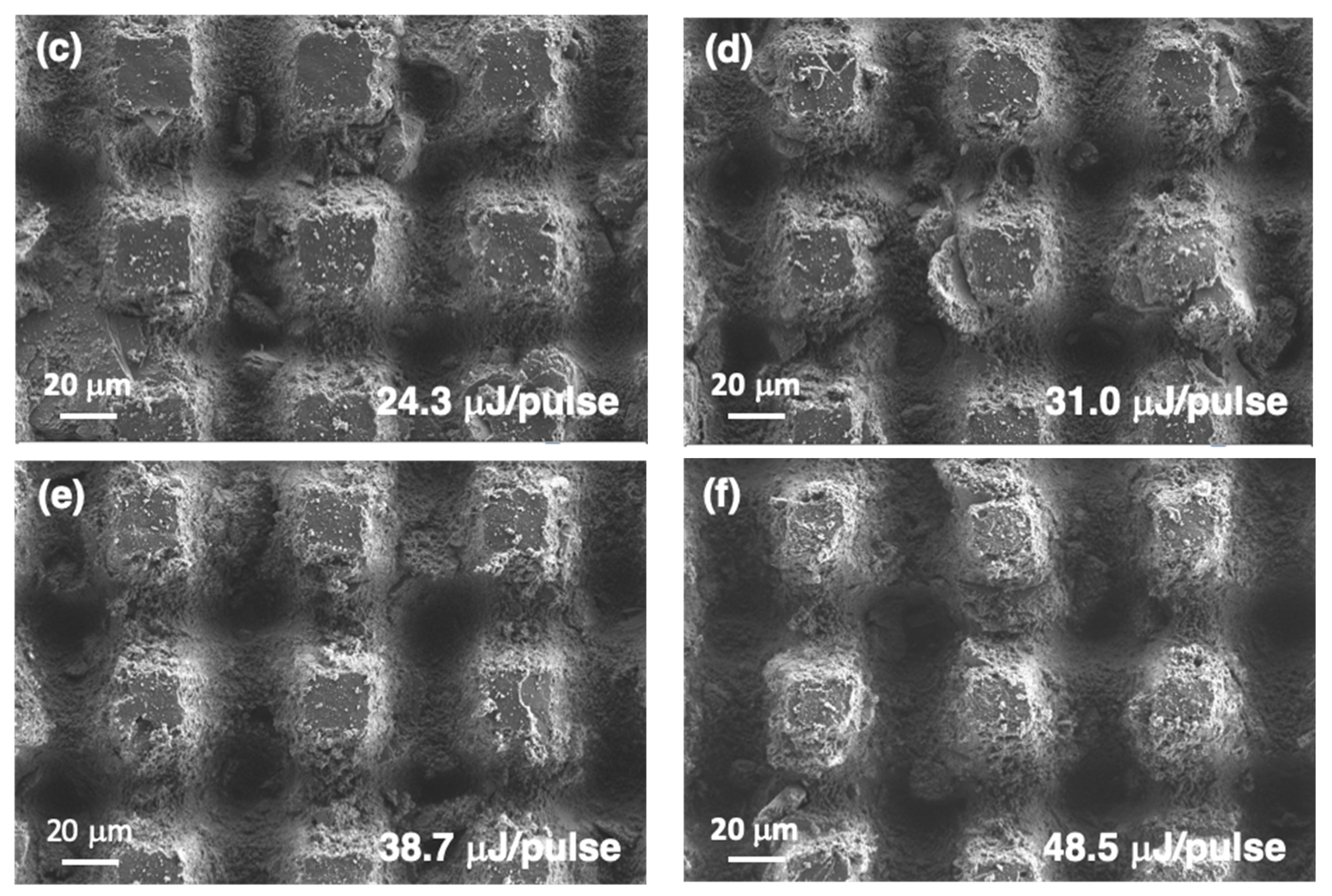 Polymers 14 05554 g011b Polymers 14 05554 g011b