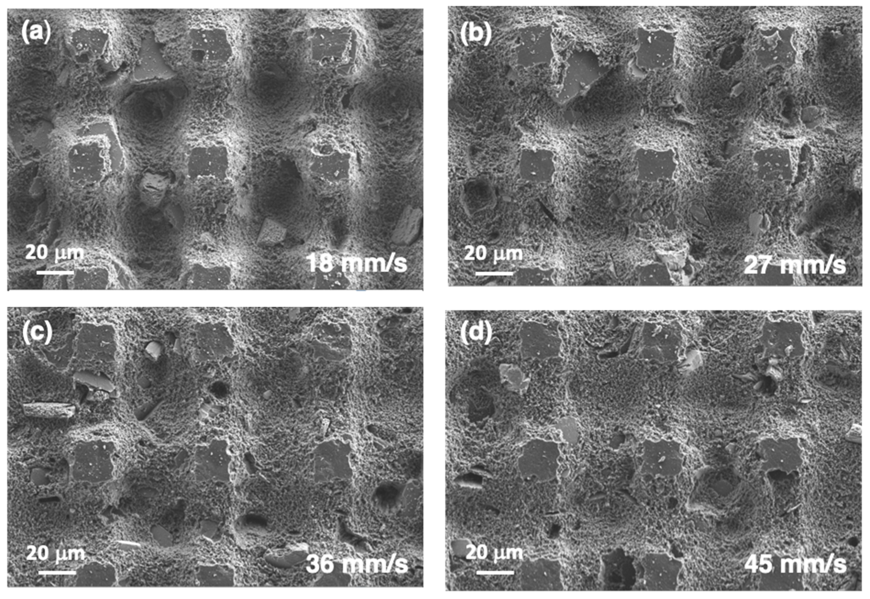 Polymers 14 05554 g013 Polymers 14 05554 g013