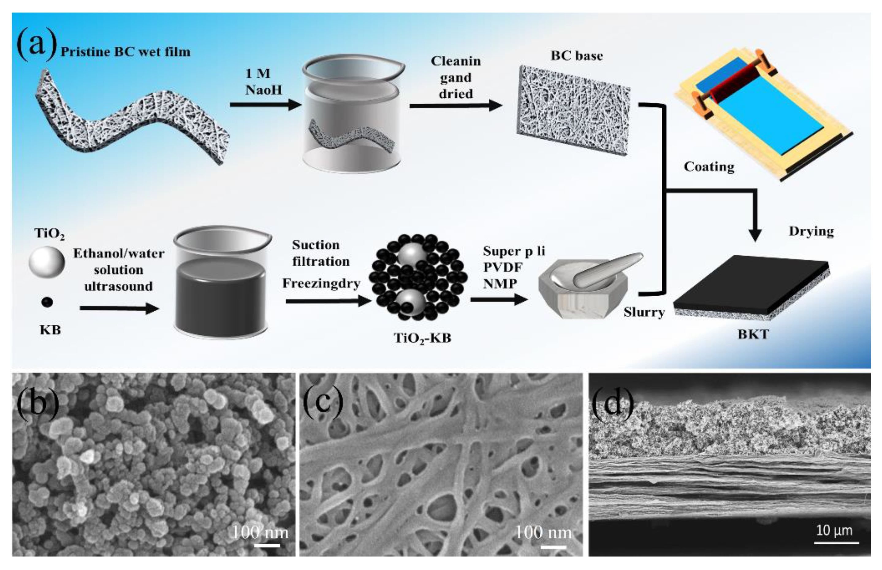 Polymers 14 05559 g001