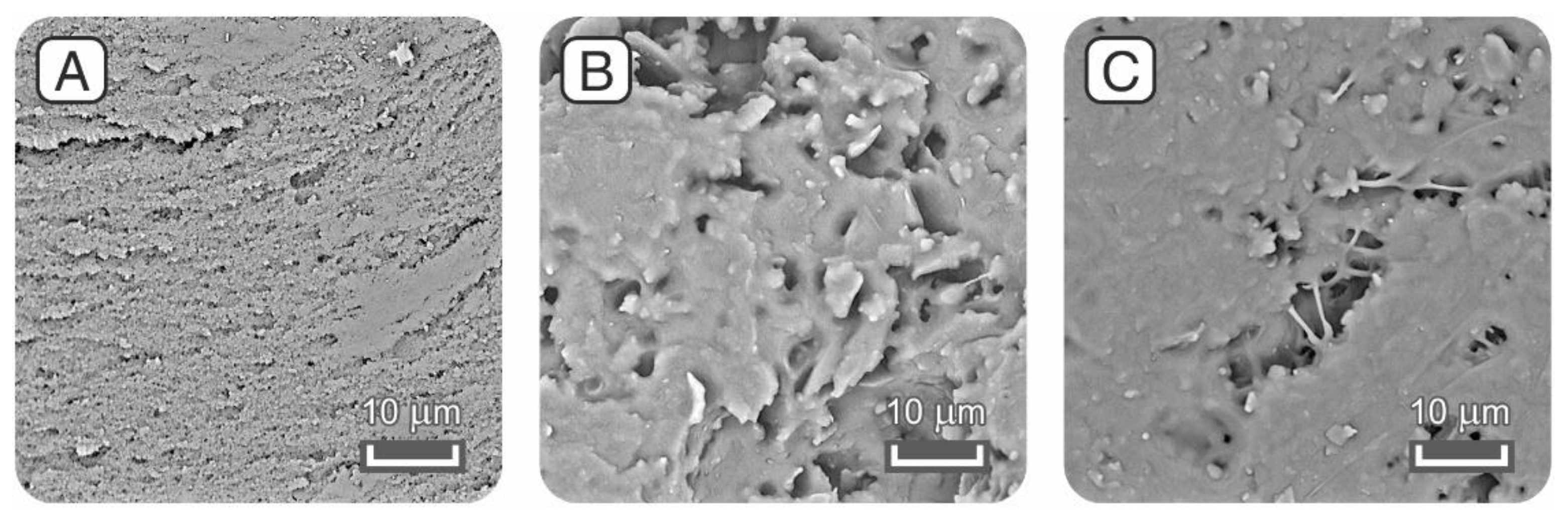 Polymers 14 05565 g007