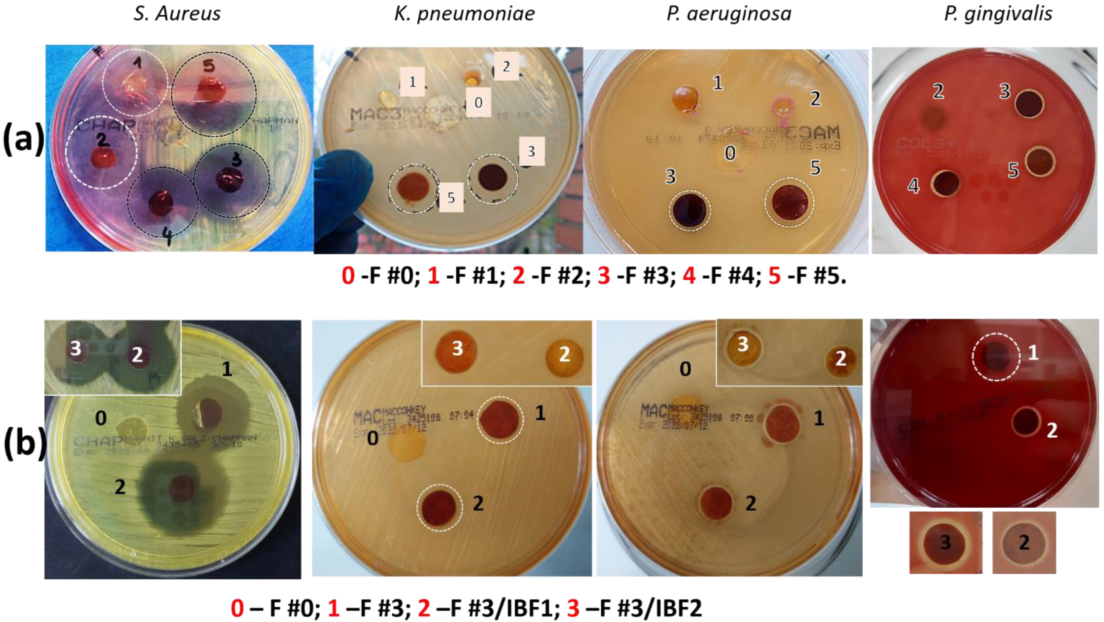 Polymers 15 00004 g010