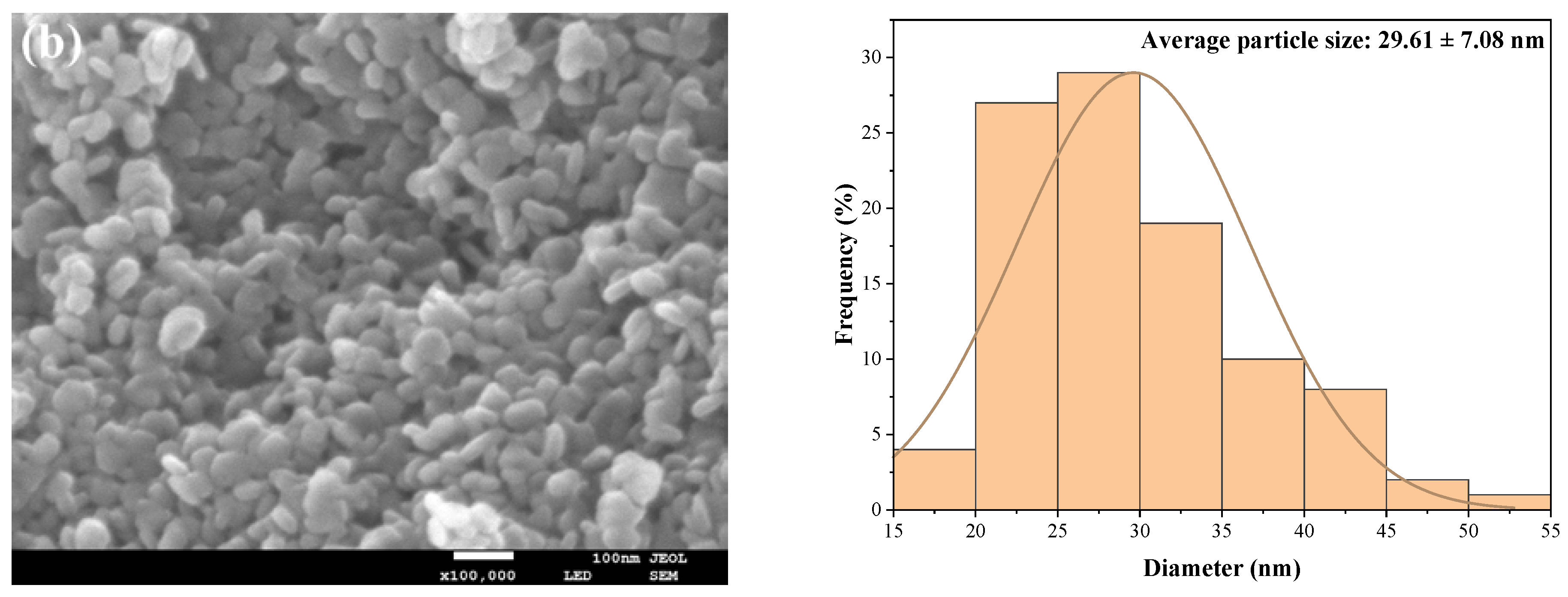 Polymers 15 00007 g002b