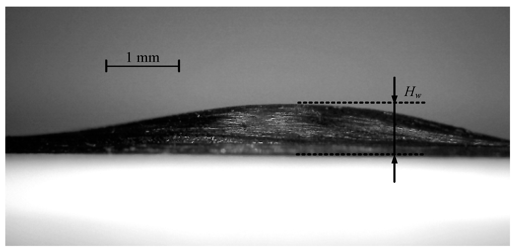 Polymers 15 00019 g009