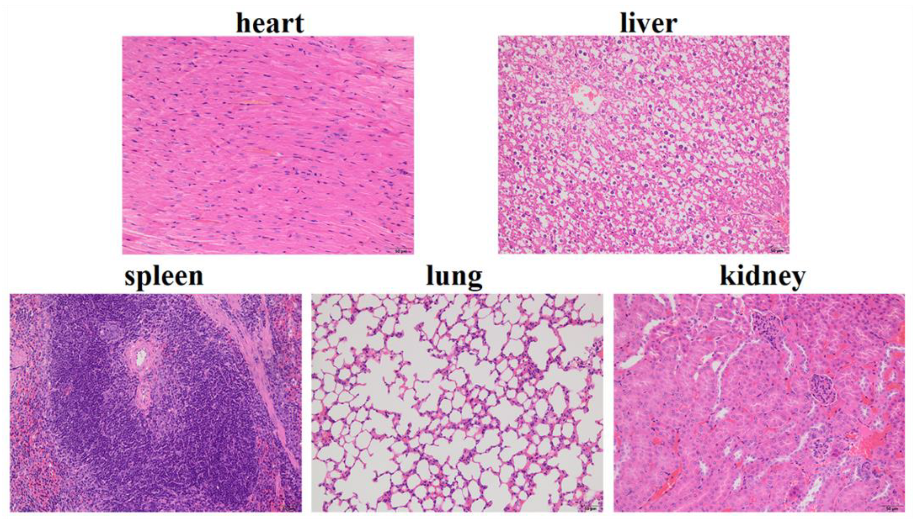 Polymers 15 00023 g008 Polymers 15 00023 g008