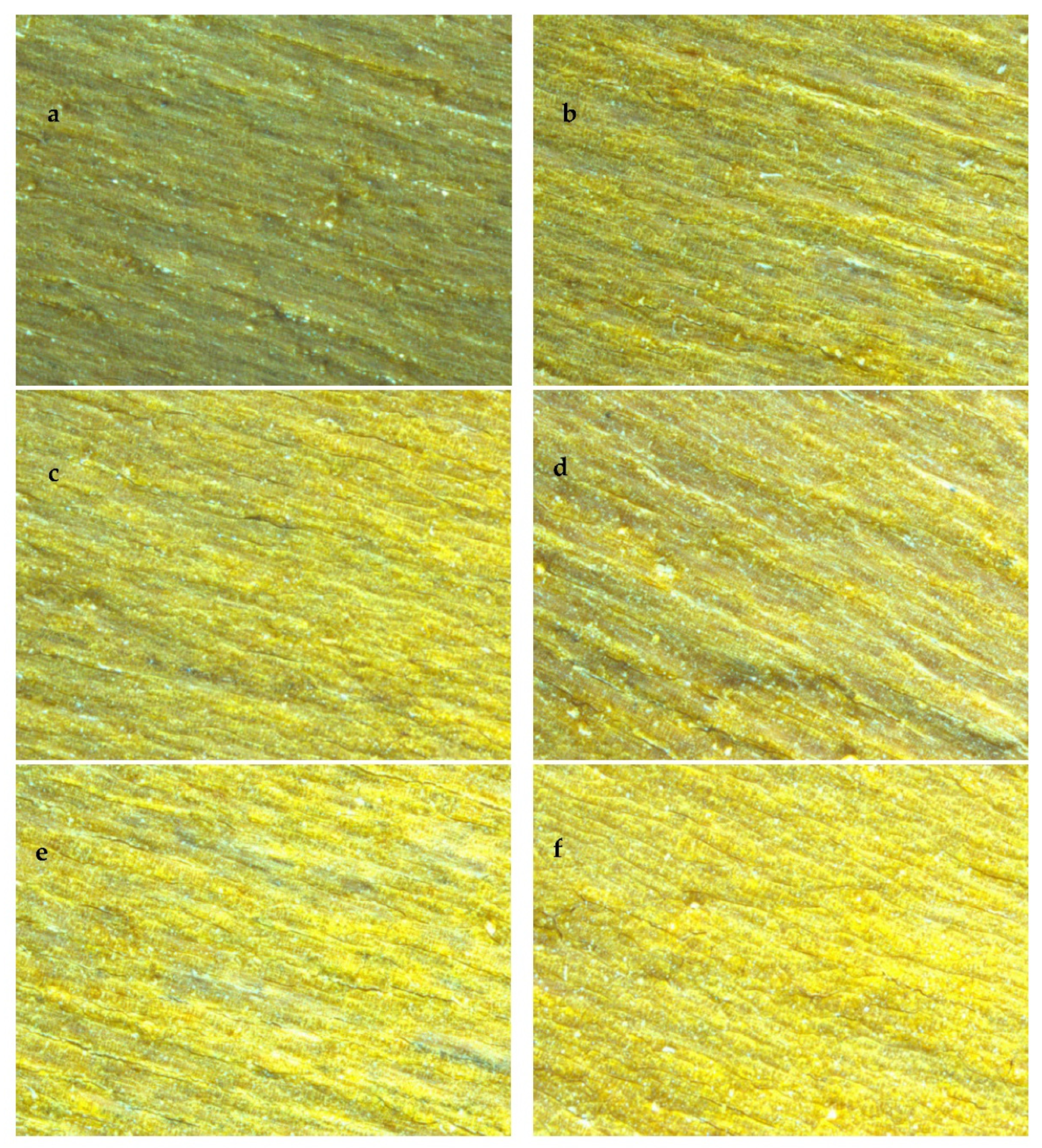 Polymers 15 00025 g003