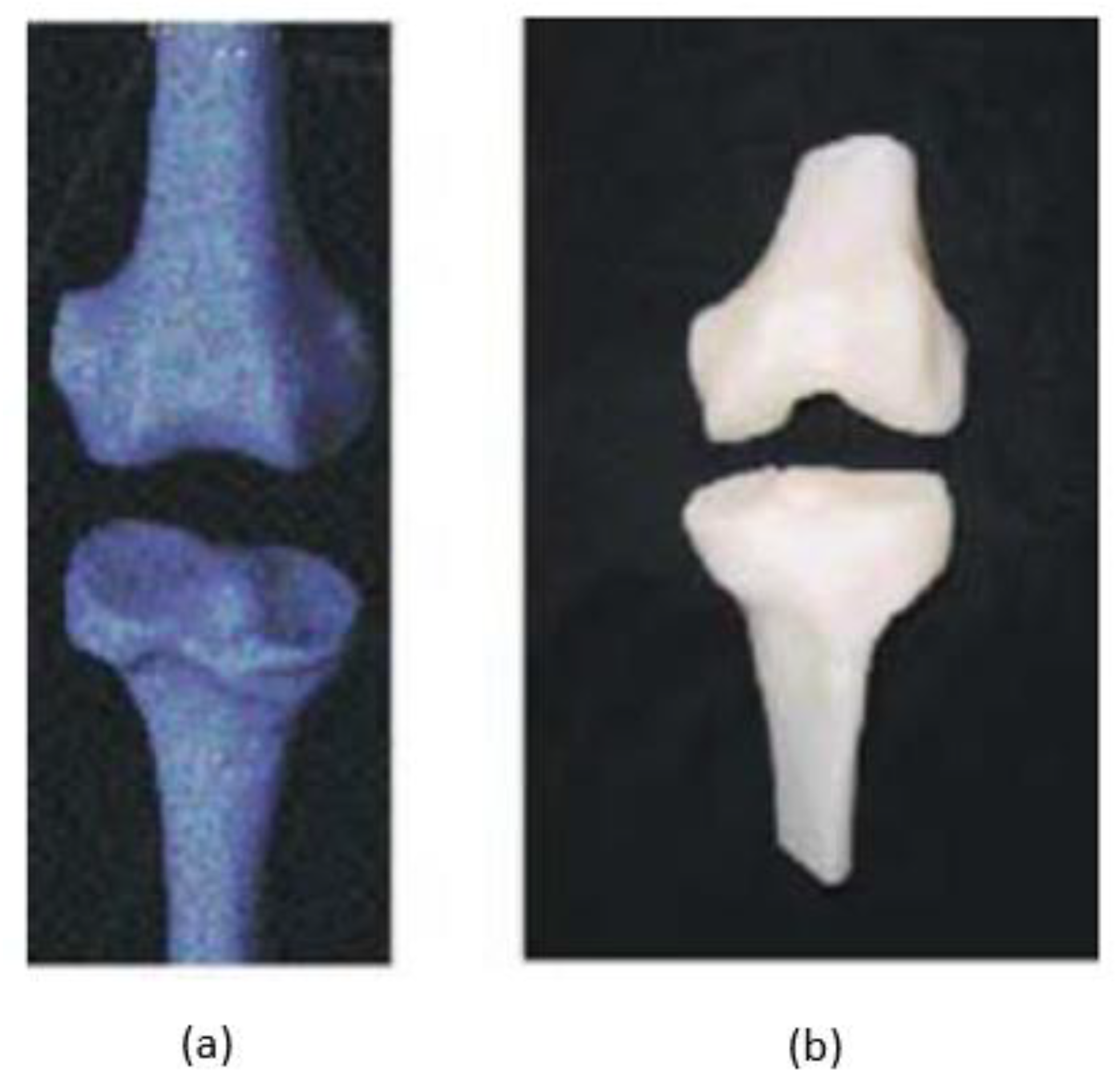 Polymers 15 00028 g018 Polymers 15 00028 g018