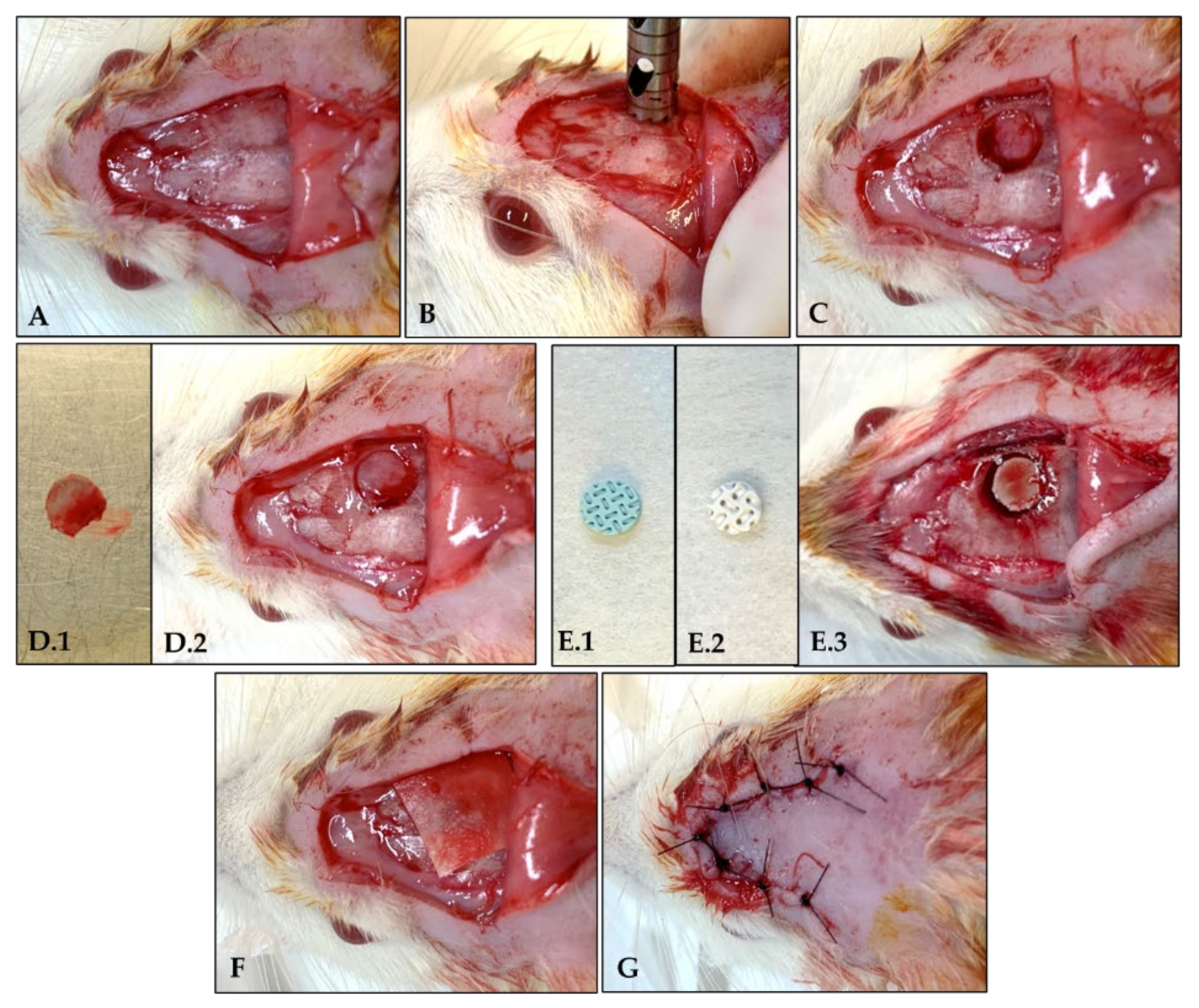 Polymers 15 00031 g002 Polymers 15 00031 g002