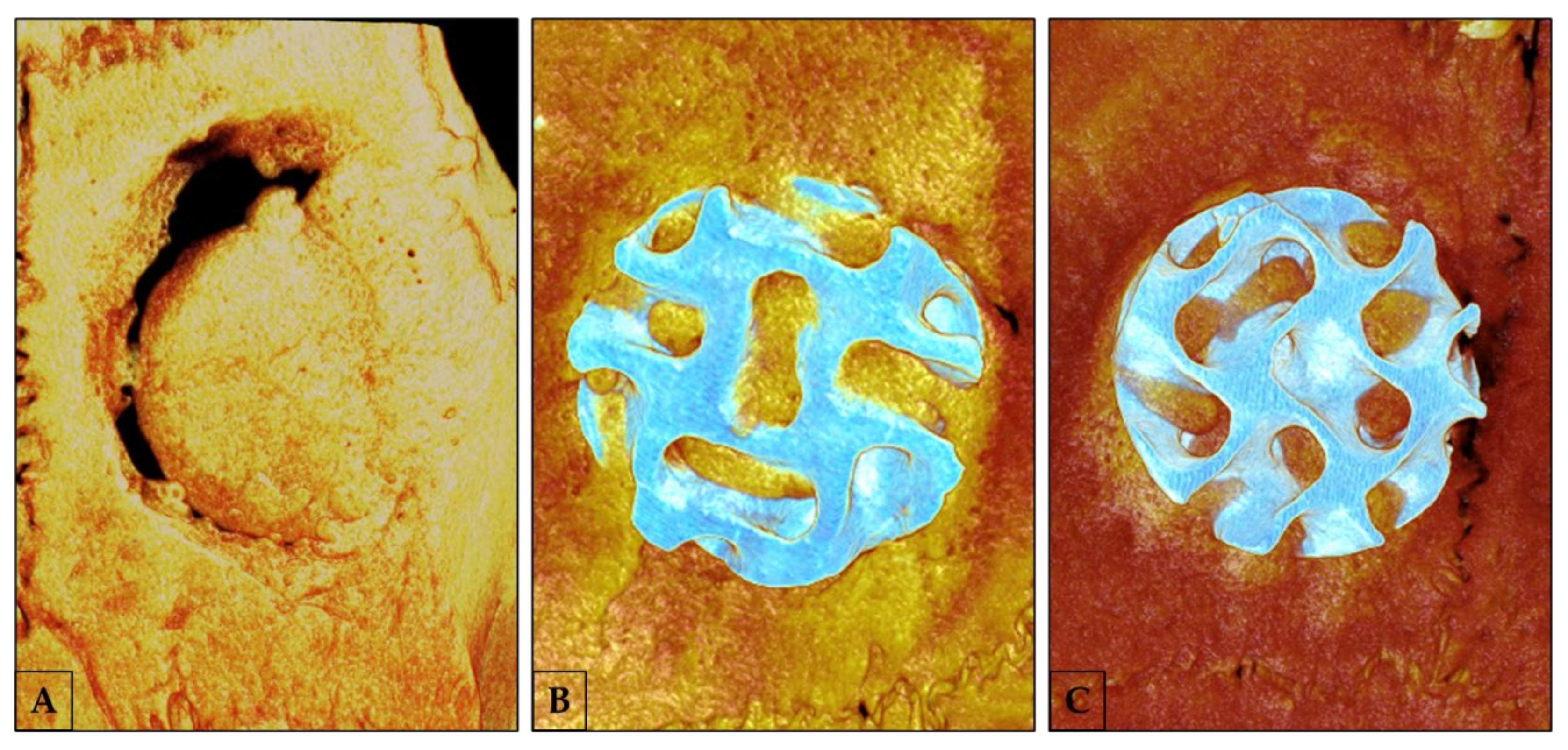 Polymers 15 00031 g003 Polymers 15 00031 g003