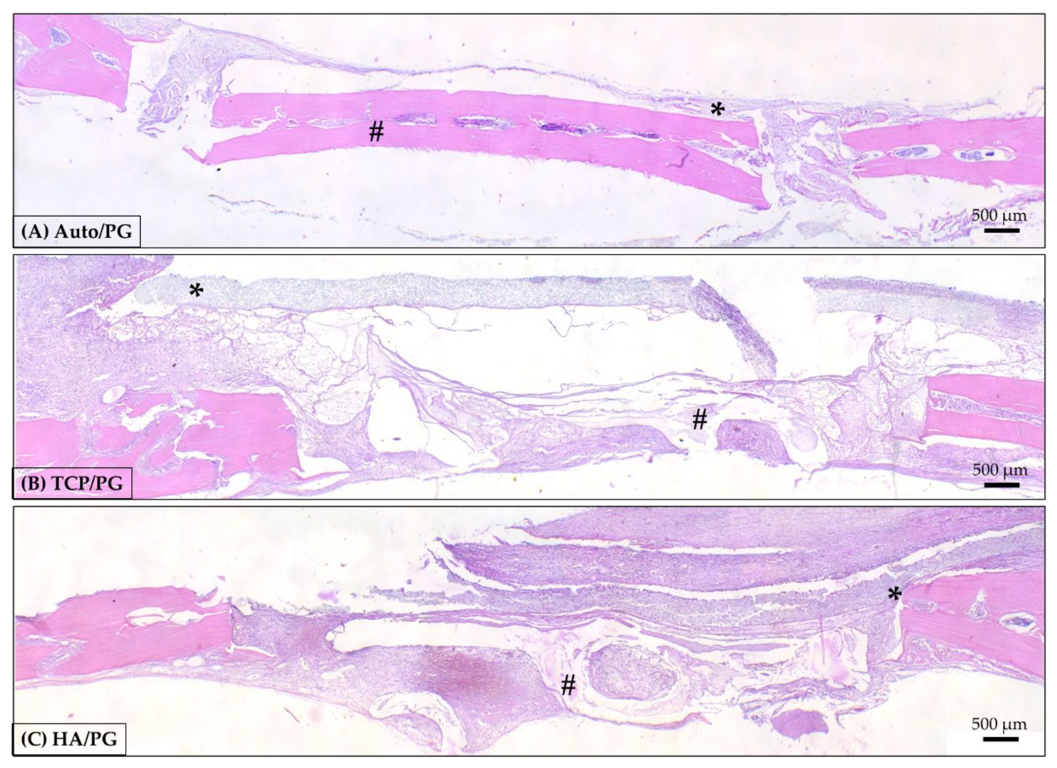 Polymers 15 00031 g004 Polymers 15 00031 g004