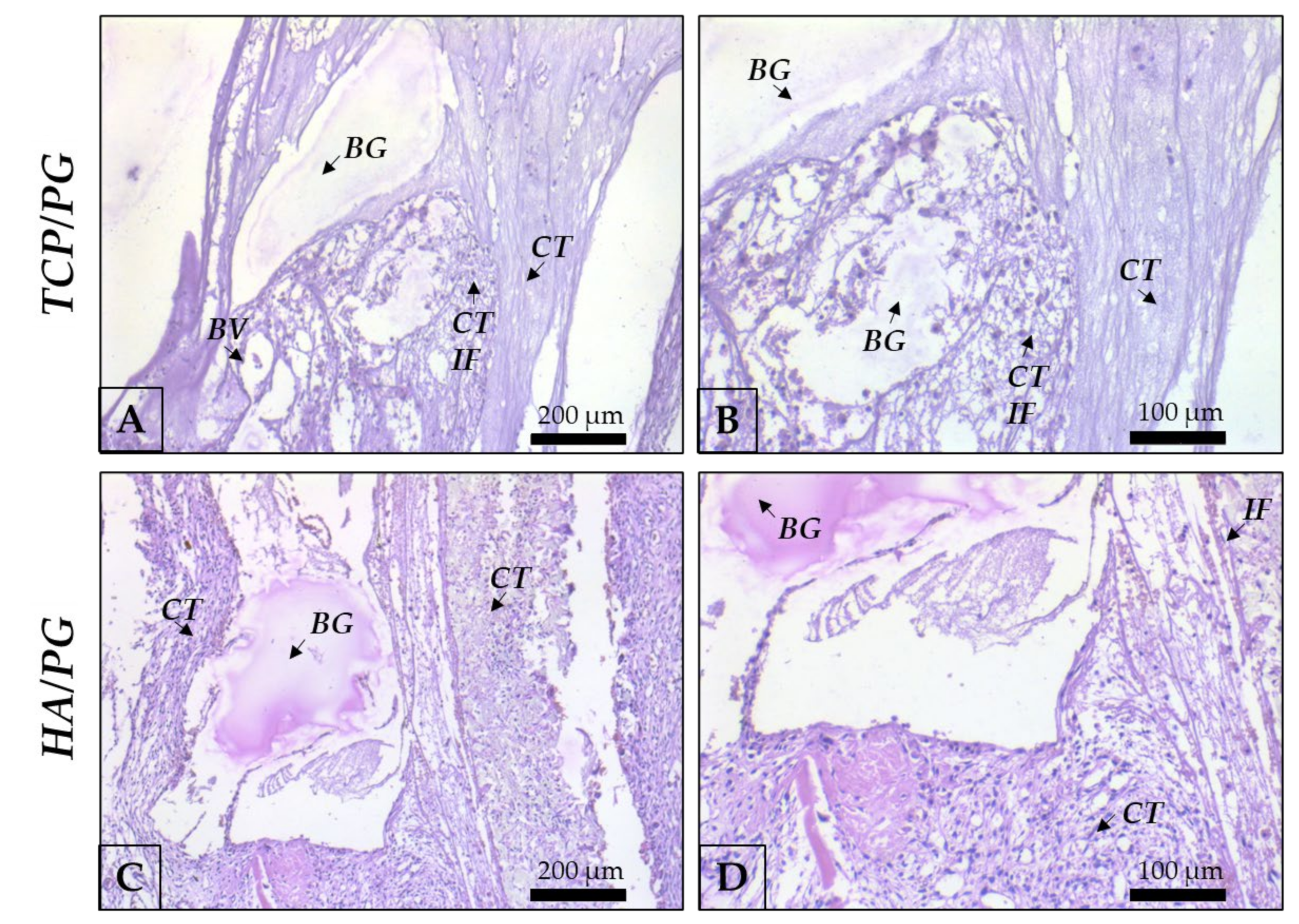Polymers 15 00031 g005 Polymers 15 00031 g005