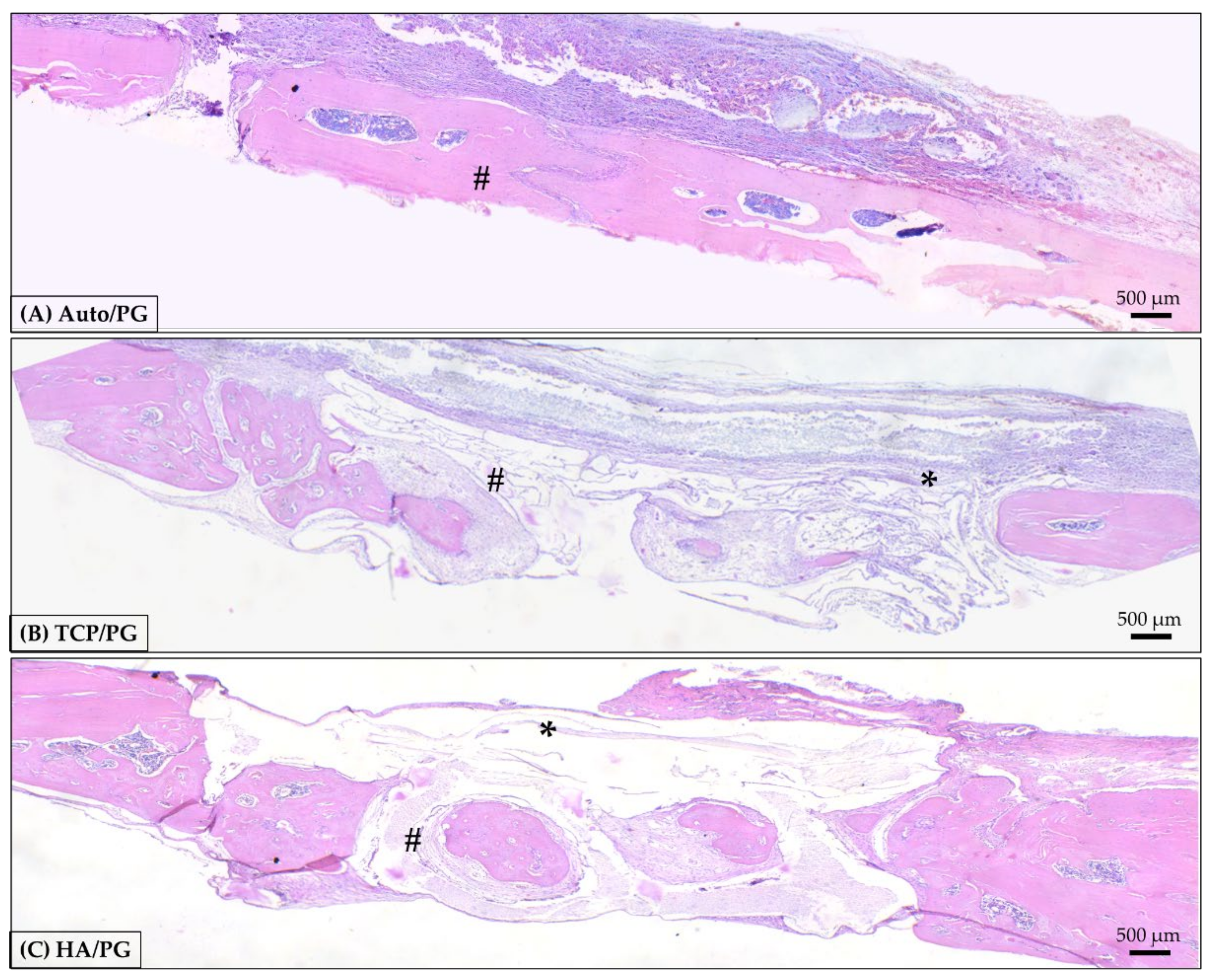 Polymers 15 00031 g006 Polymers 15 00031 g006