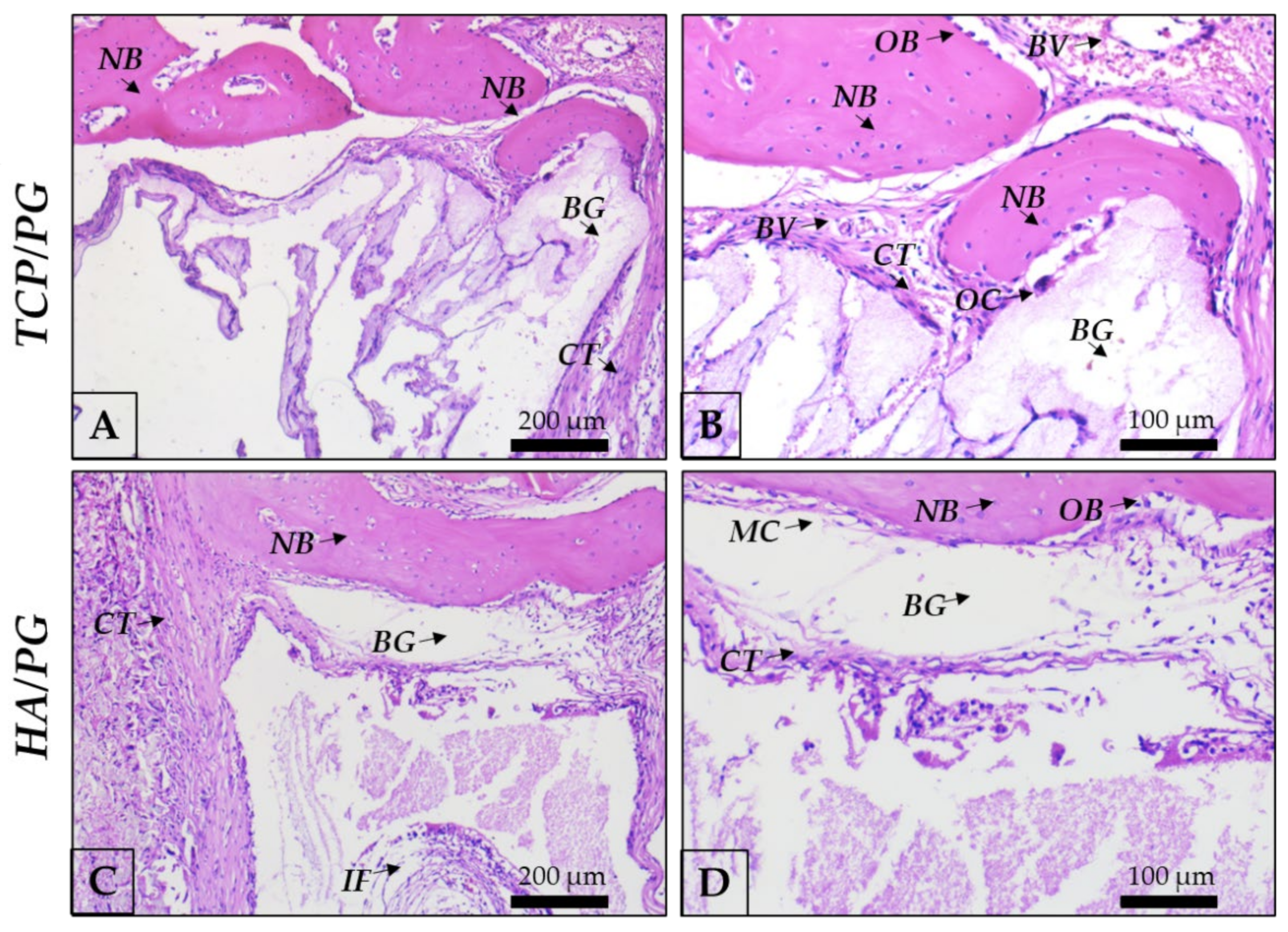 Polymers 15 00031 g007 Polymers 15 00031 g007